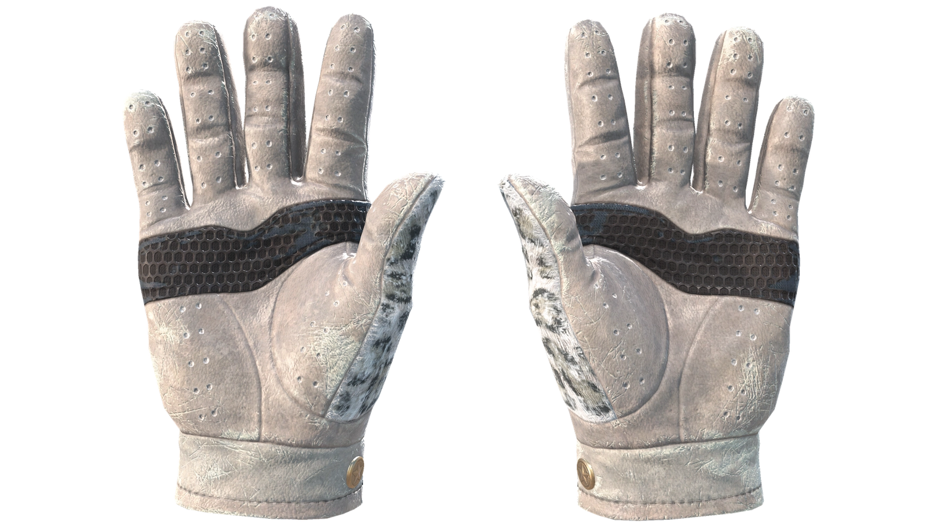 Snow Leopard image