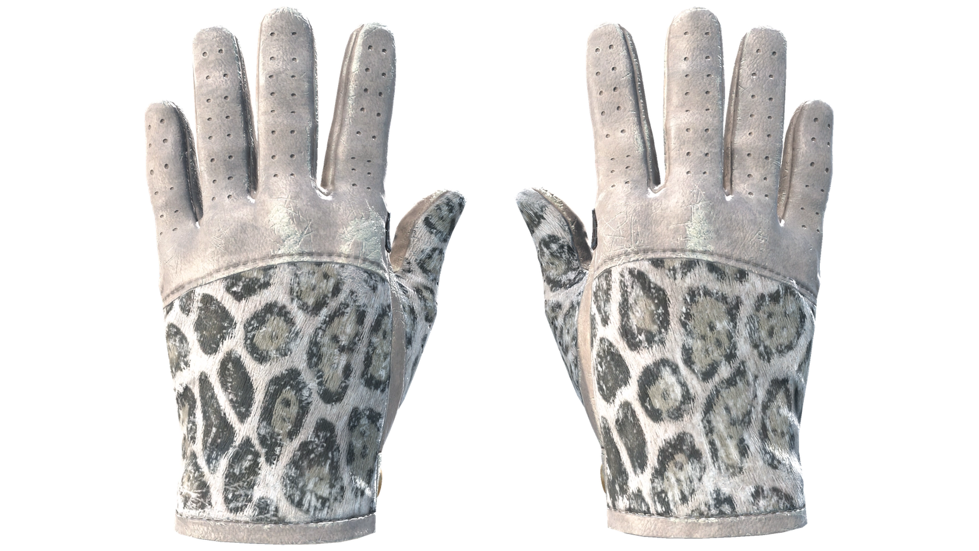 Snow Leopard image