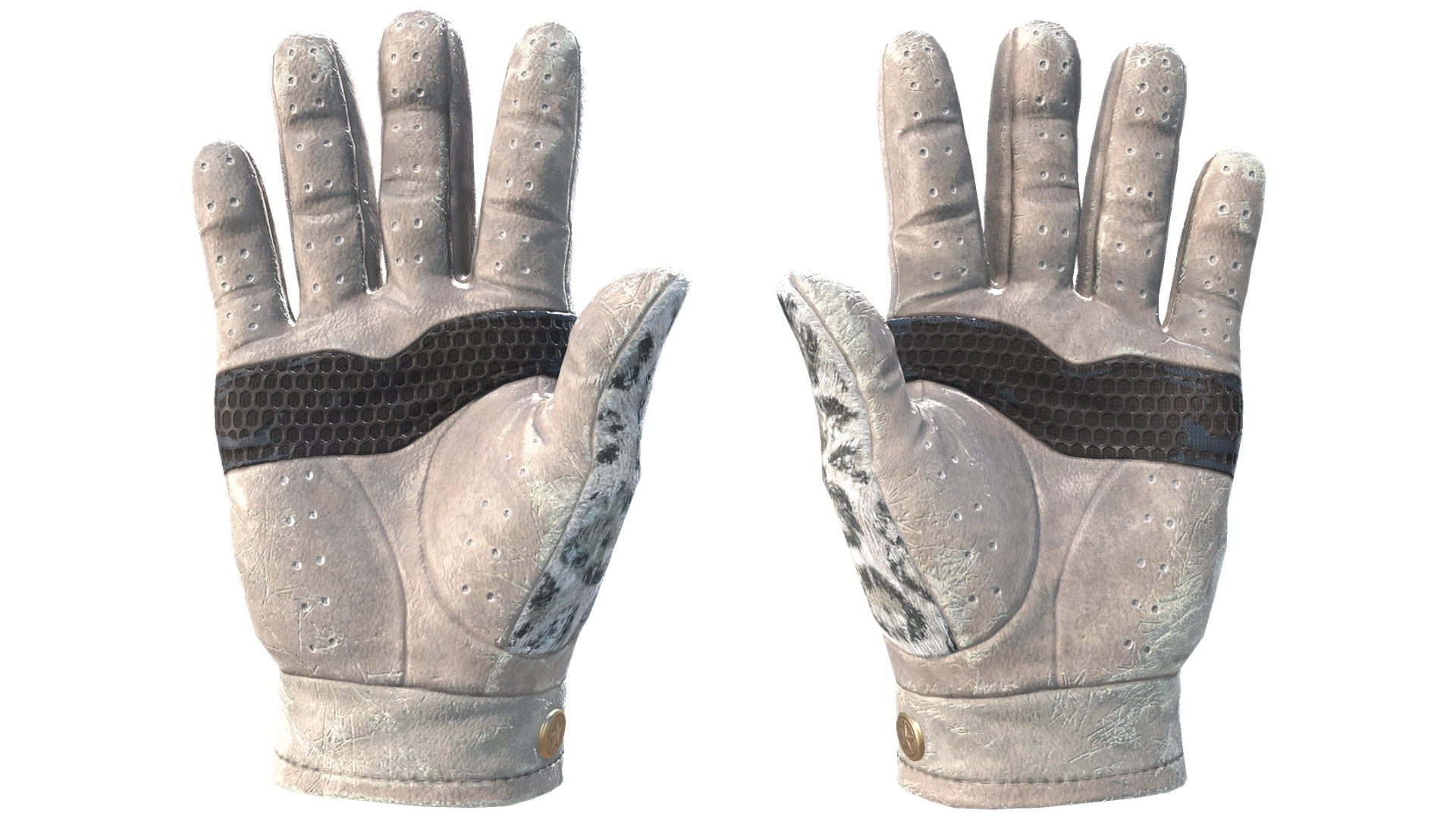 Snow Leopard image