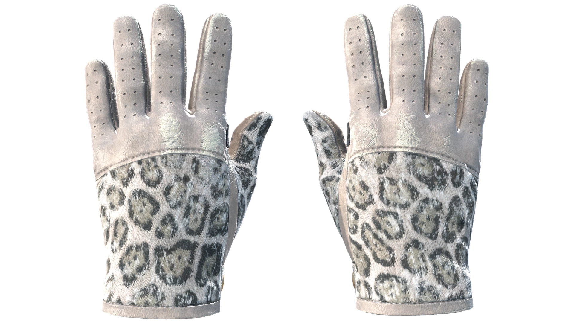 Snow Leopard image