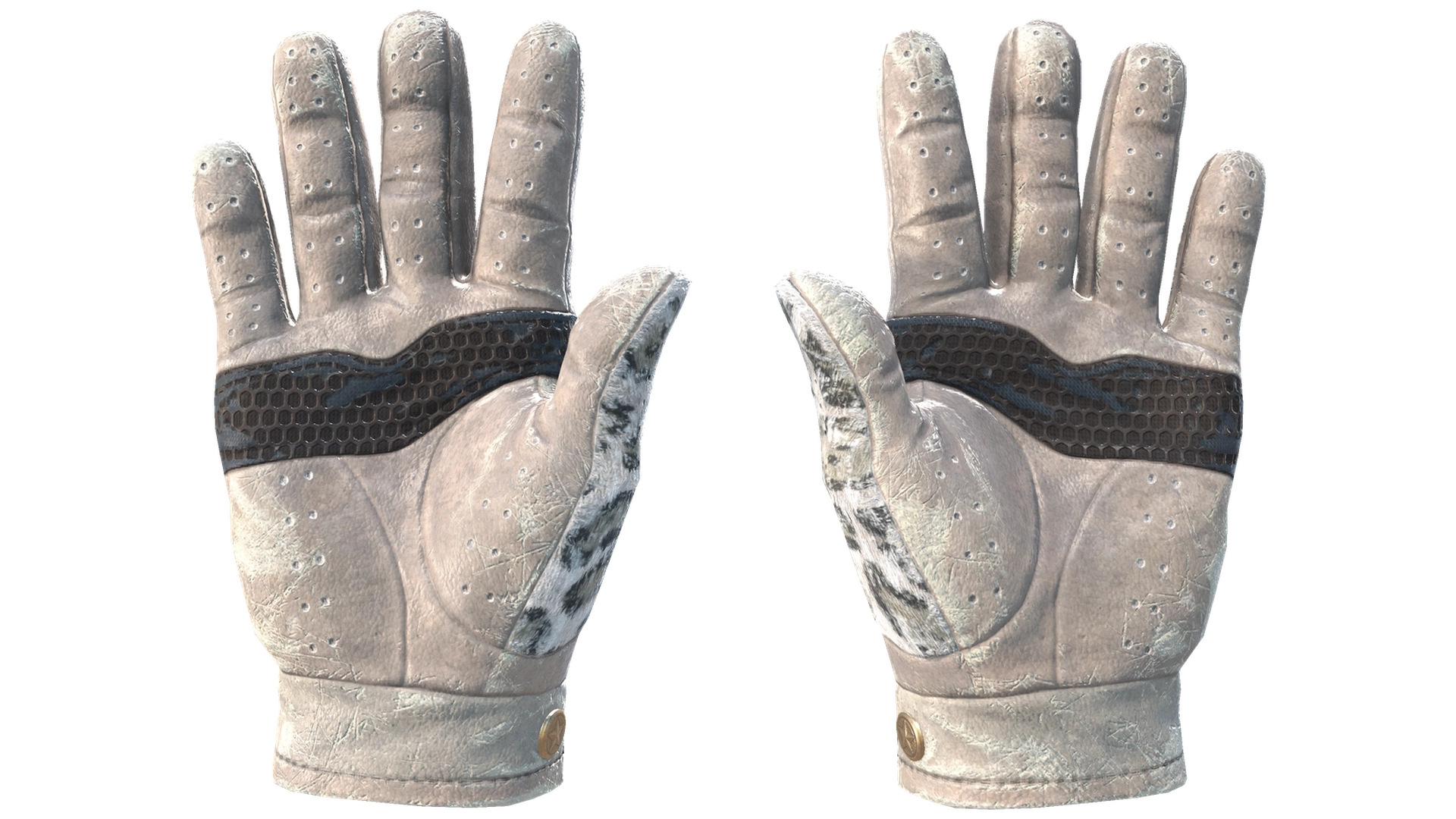 Snow Leopard image