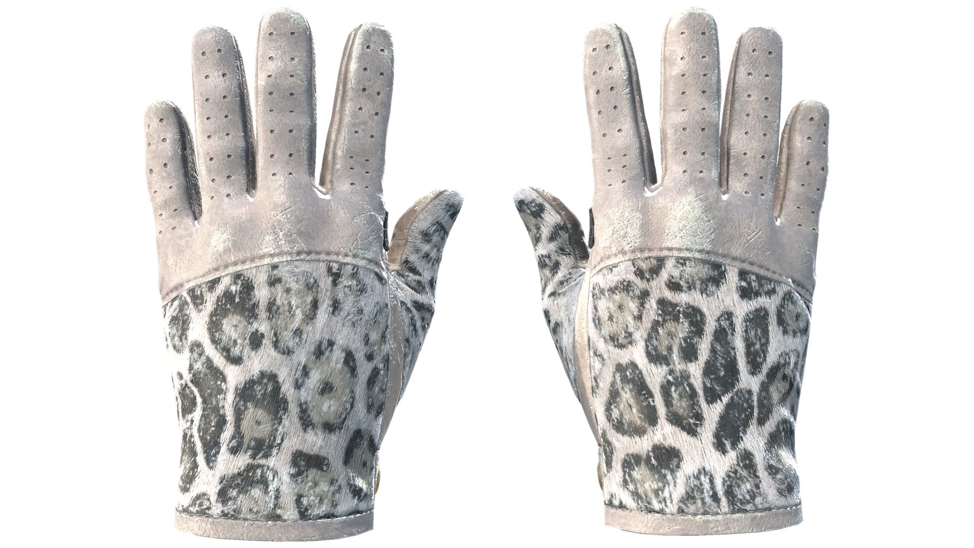 Snow Leopard image
