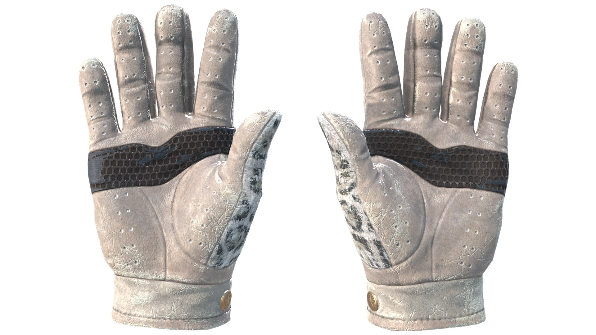 Snow Leopard image