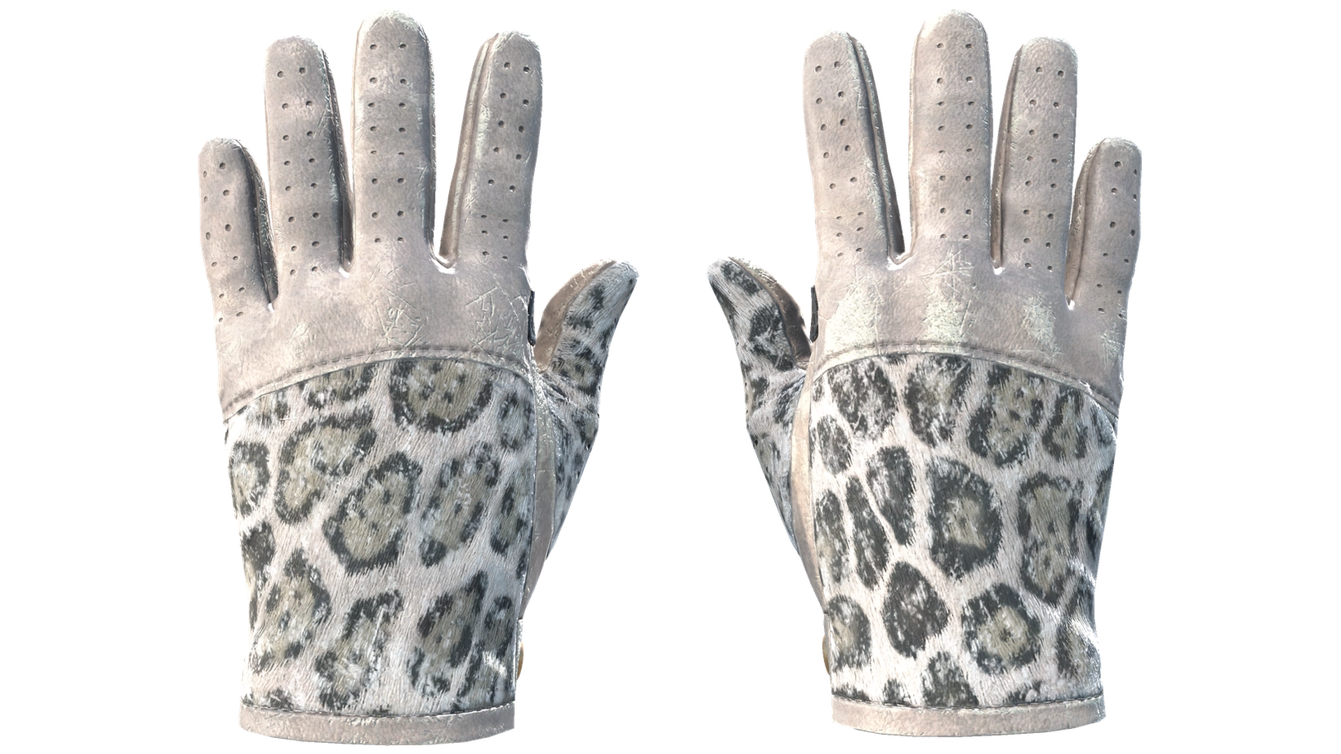 Snow Leopard image