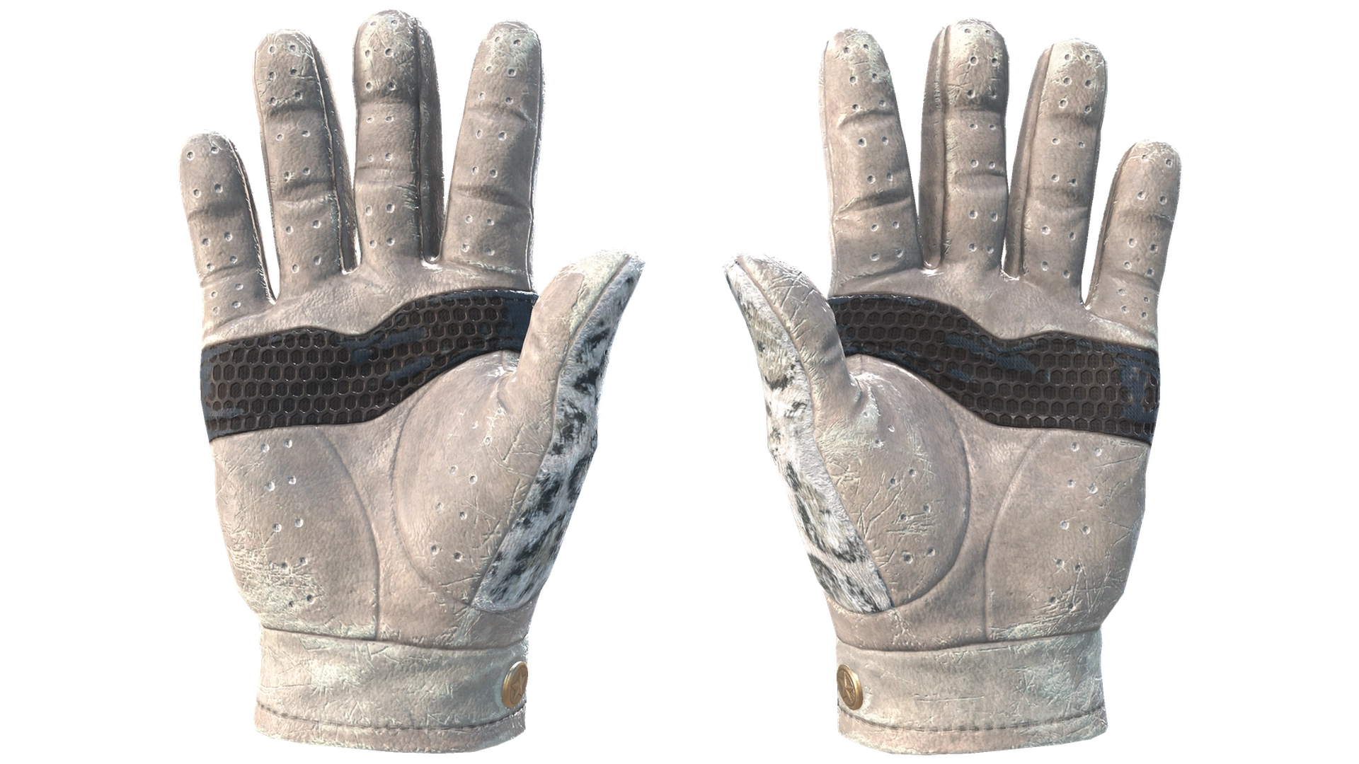 Snow Leopard image