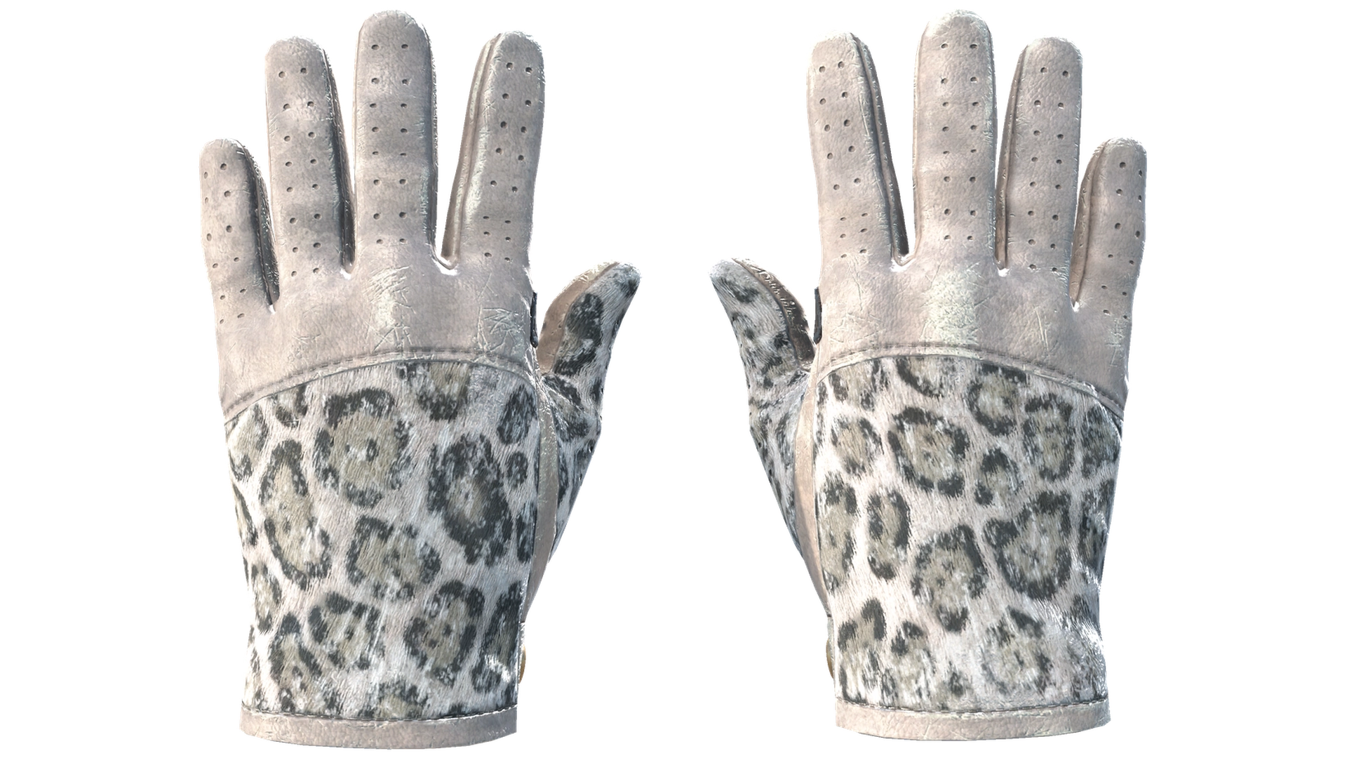Snow Leopard image
