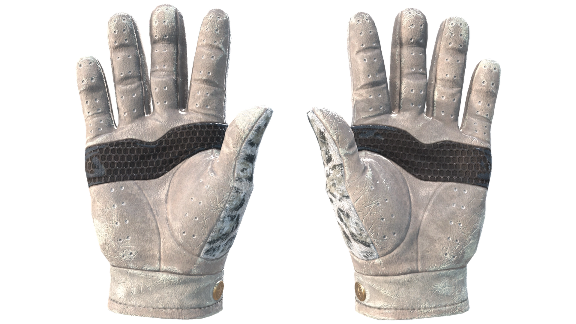 Snow Leopard image