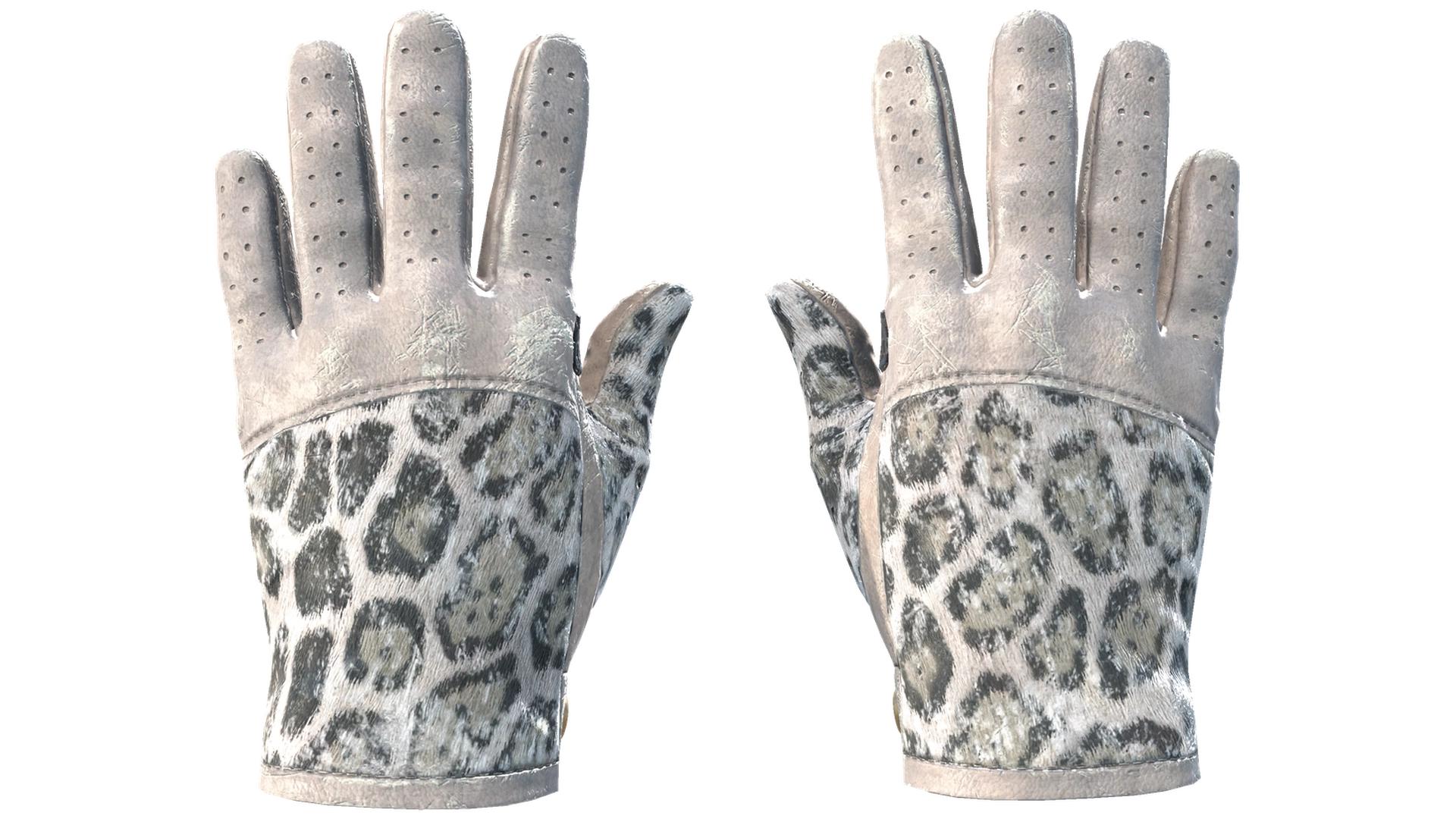 Snow Leopard image