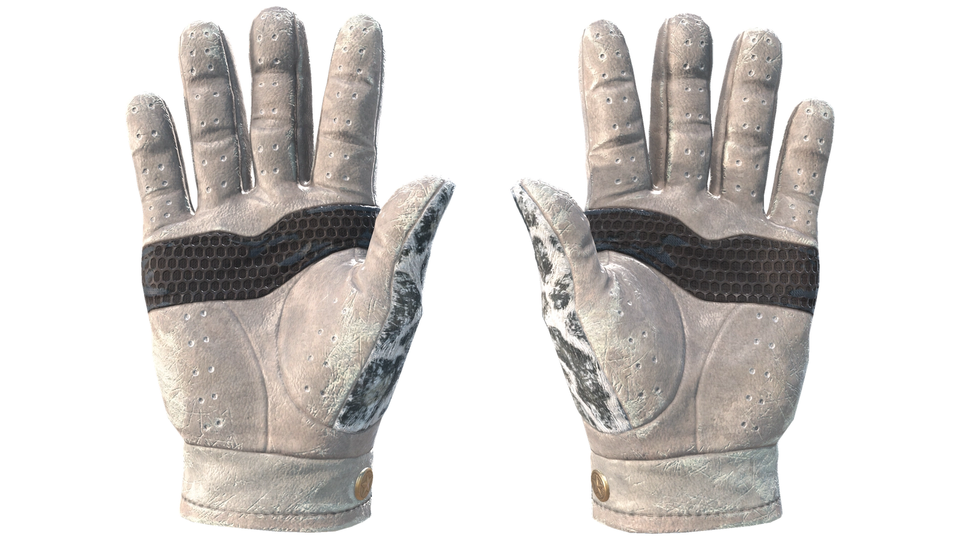 Snow Leopard image