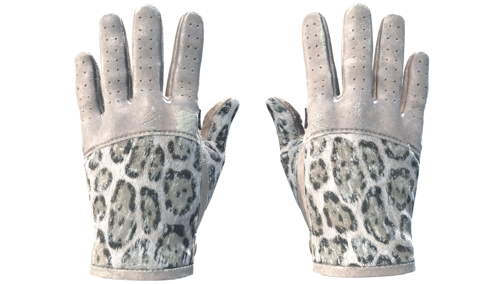 Snow Leopard image