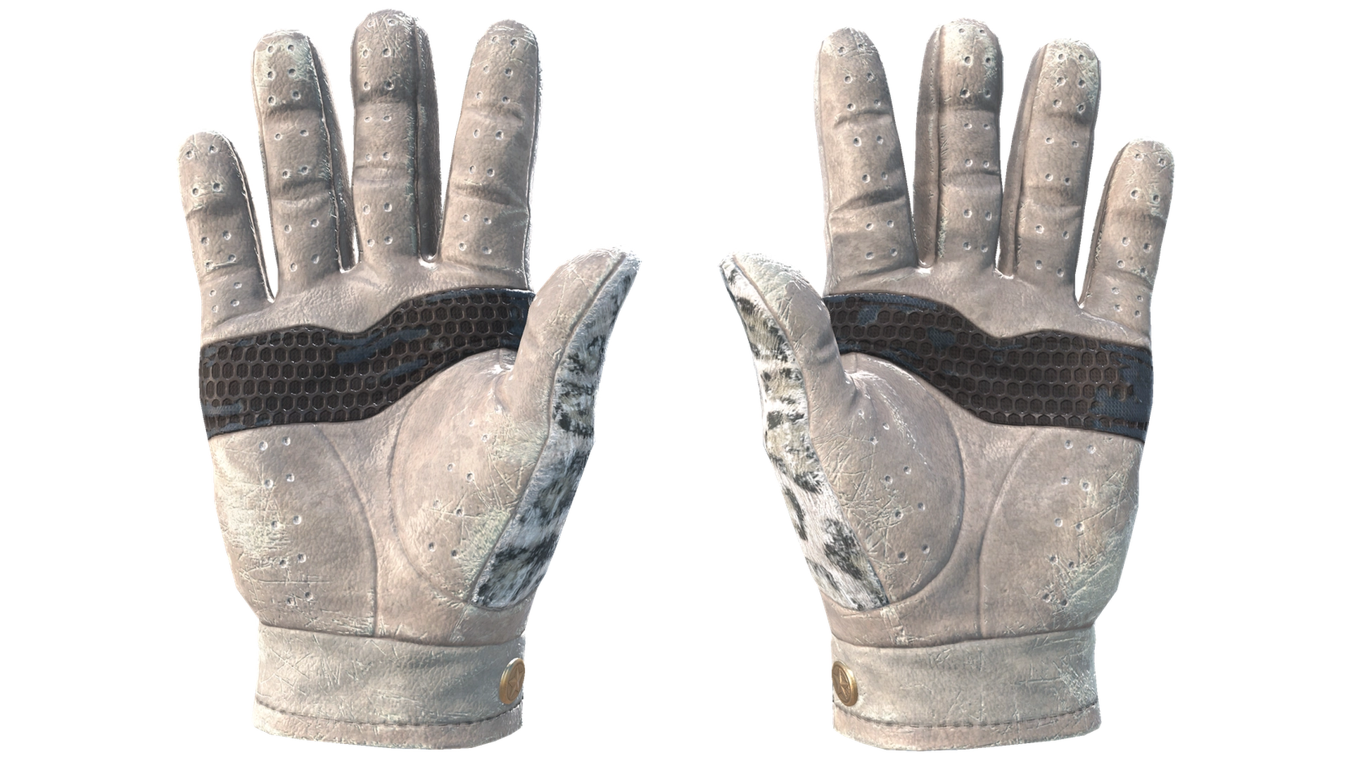 Snow Leopard image