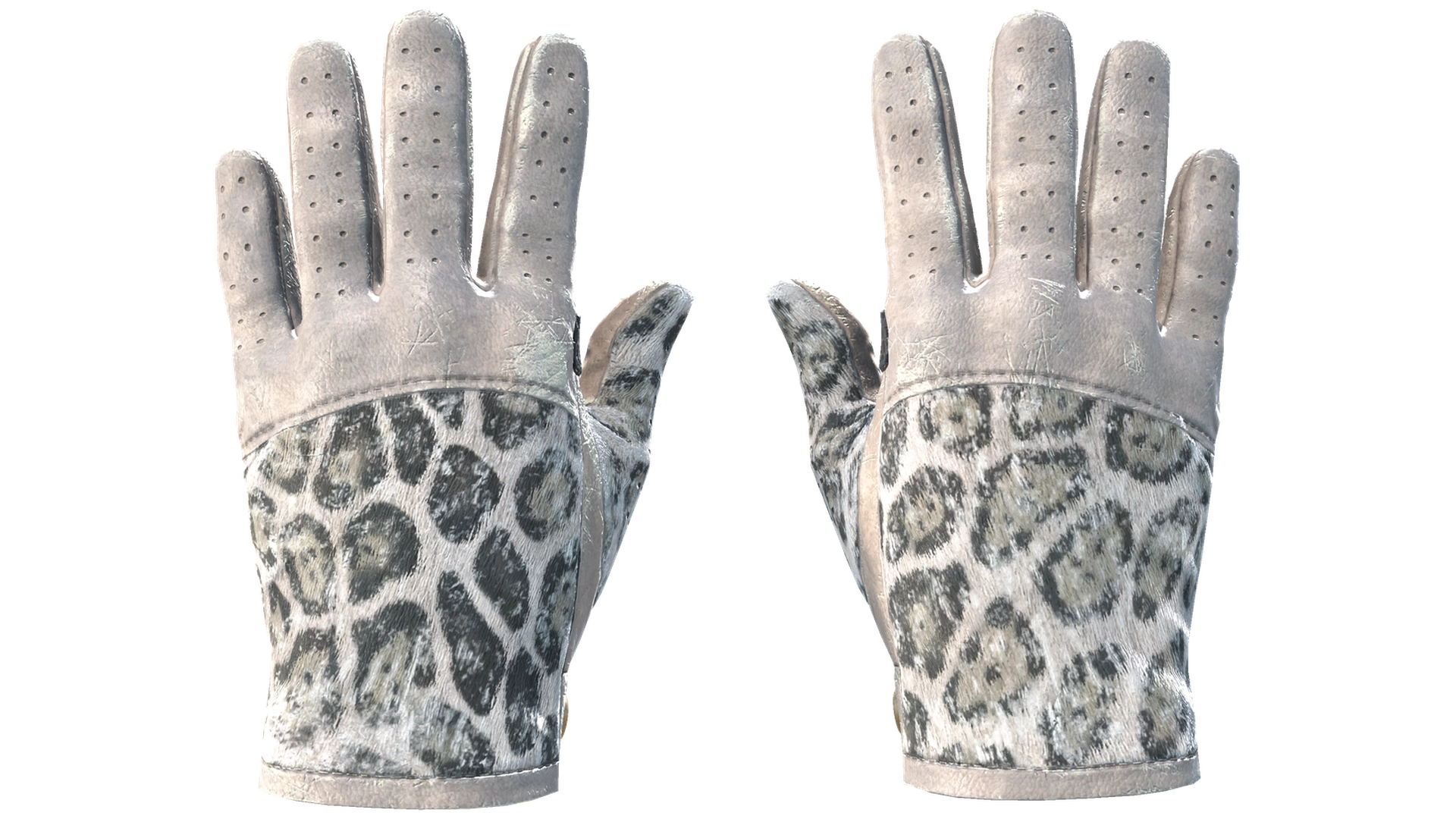 Snow Leopard image