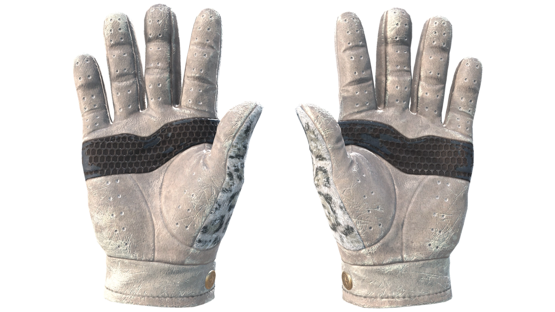Snow Leopard image