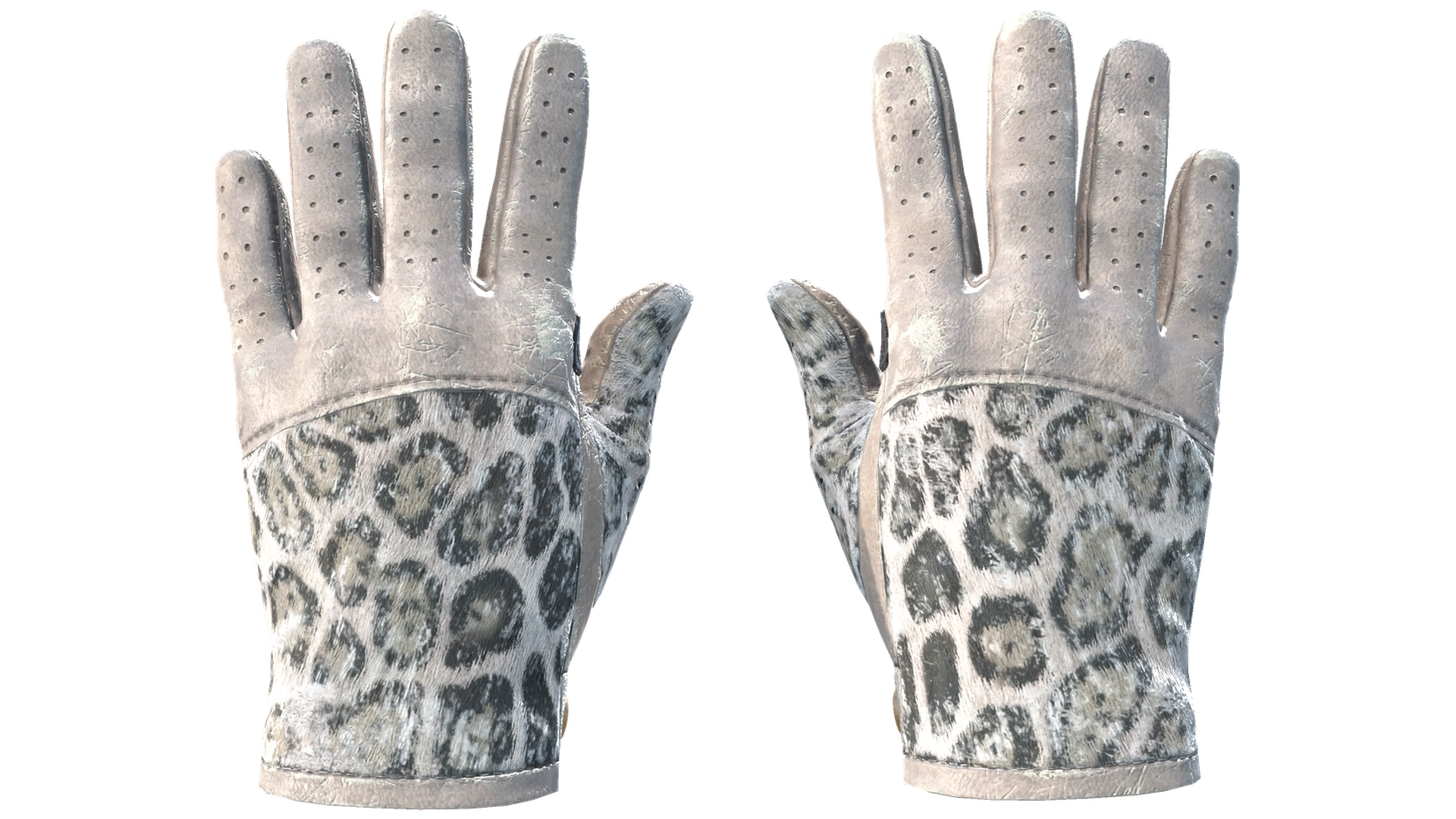 Snow Leopard image