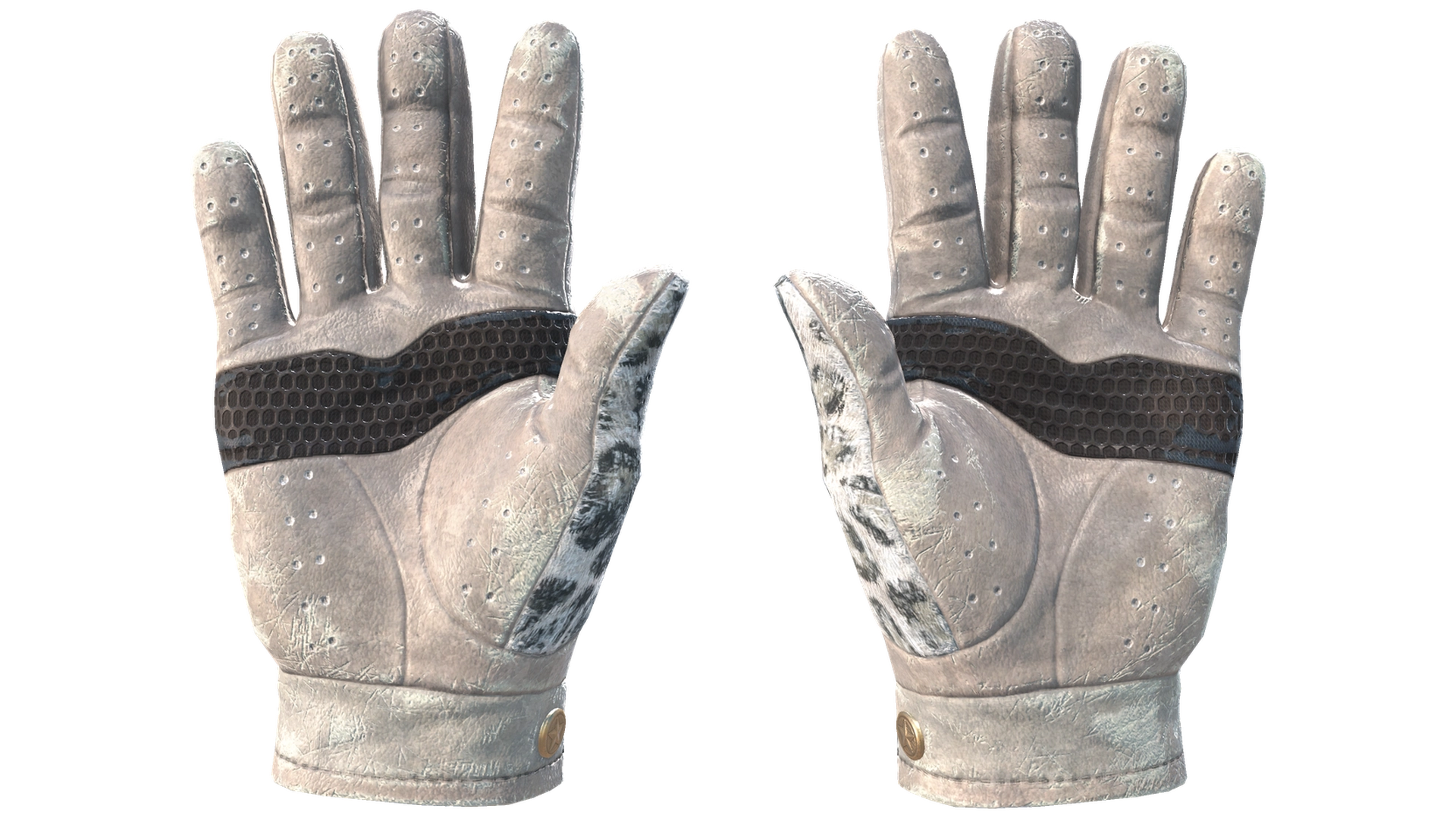 Snow Leopard image