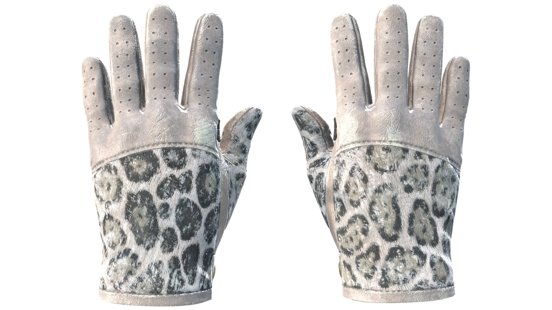 Snow Leopard image