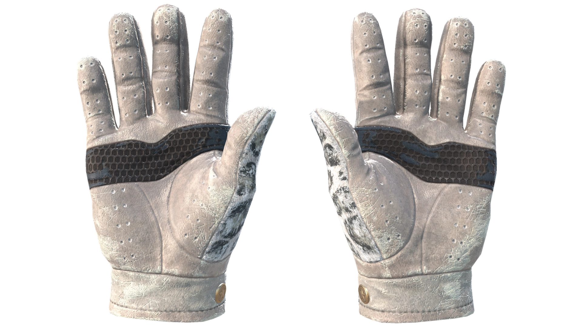 Snow Leopard image