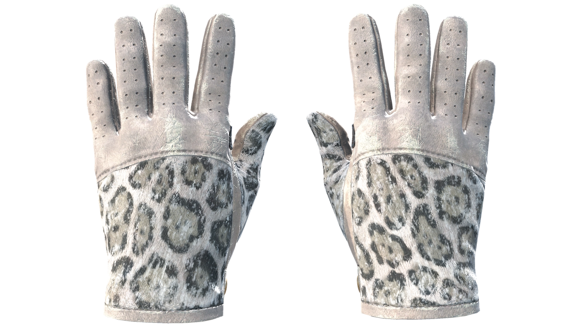 Snow Leopard image