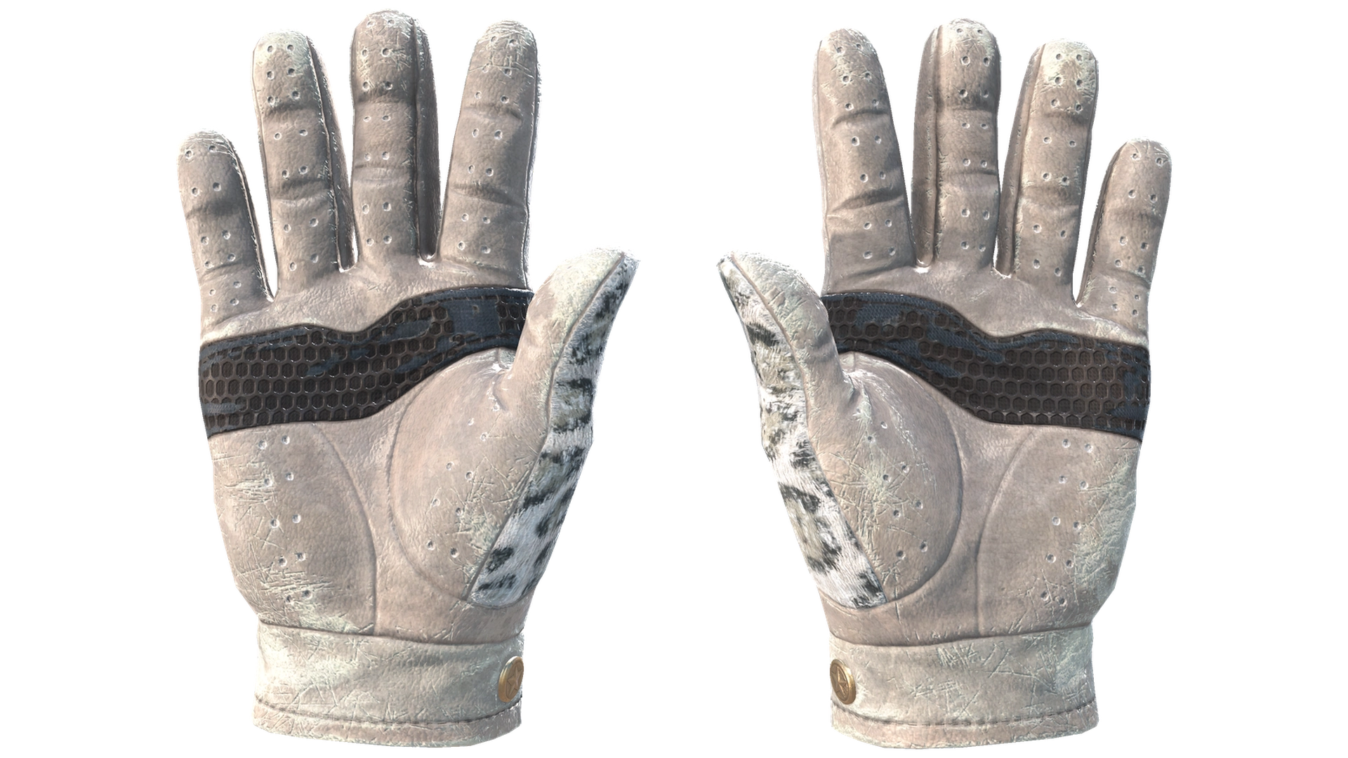 Snow Leopard image