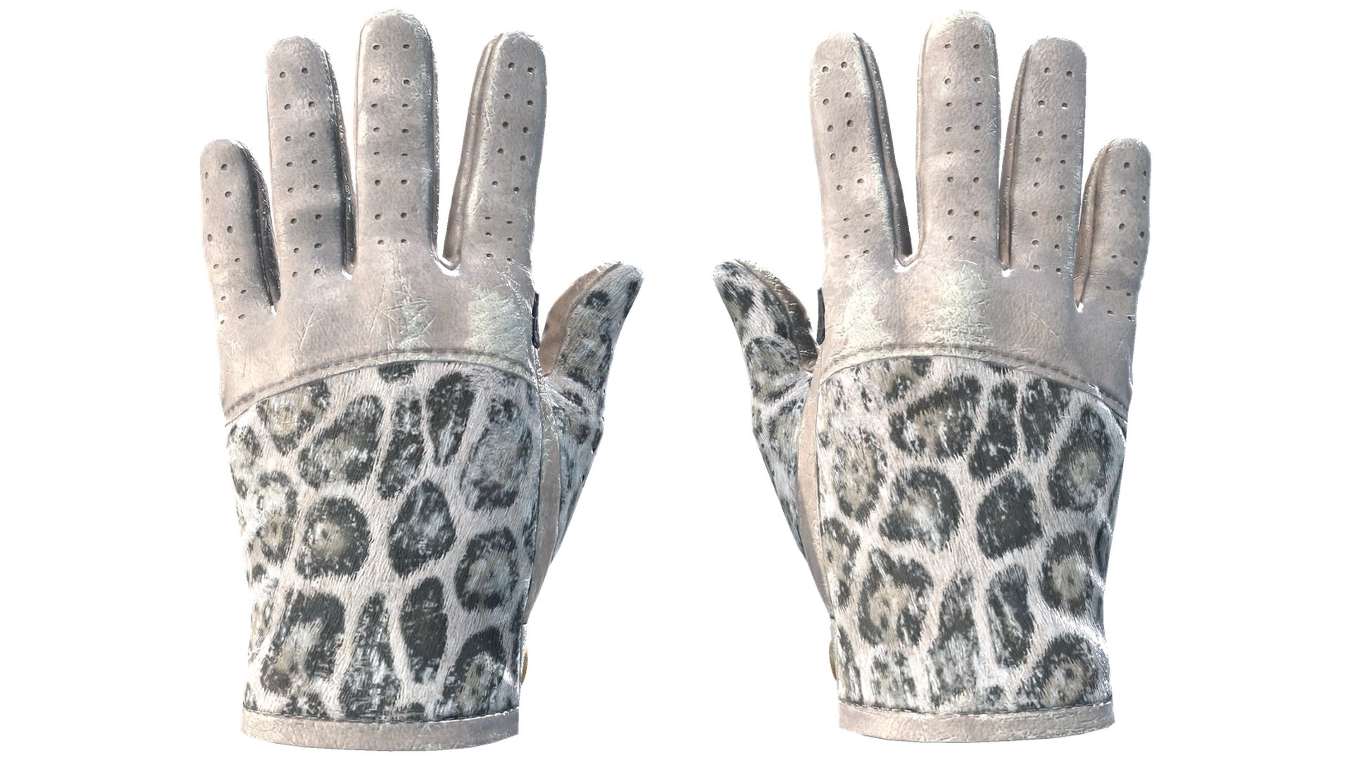 Snow Leopard image