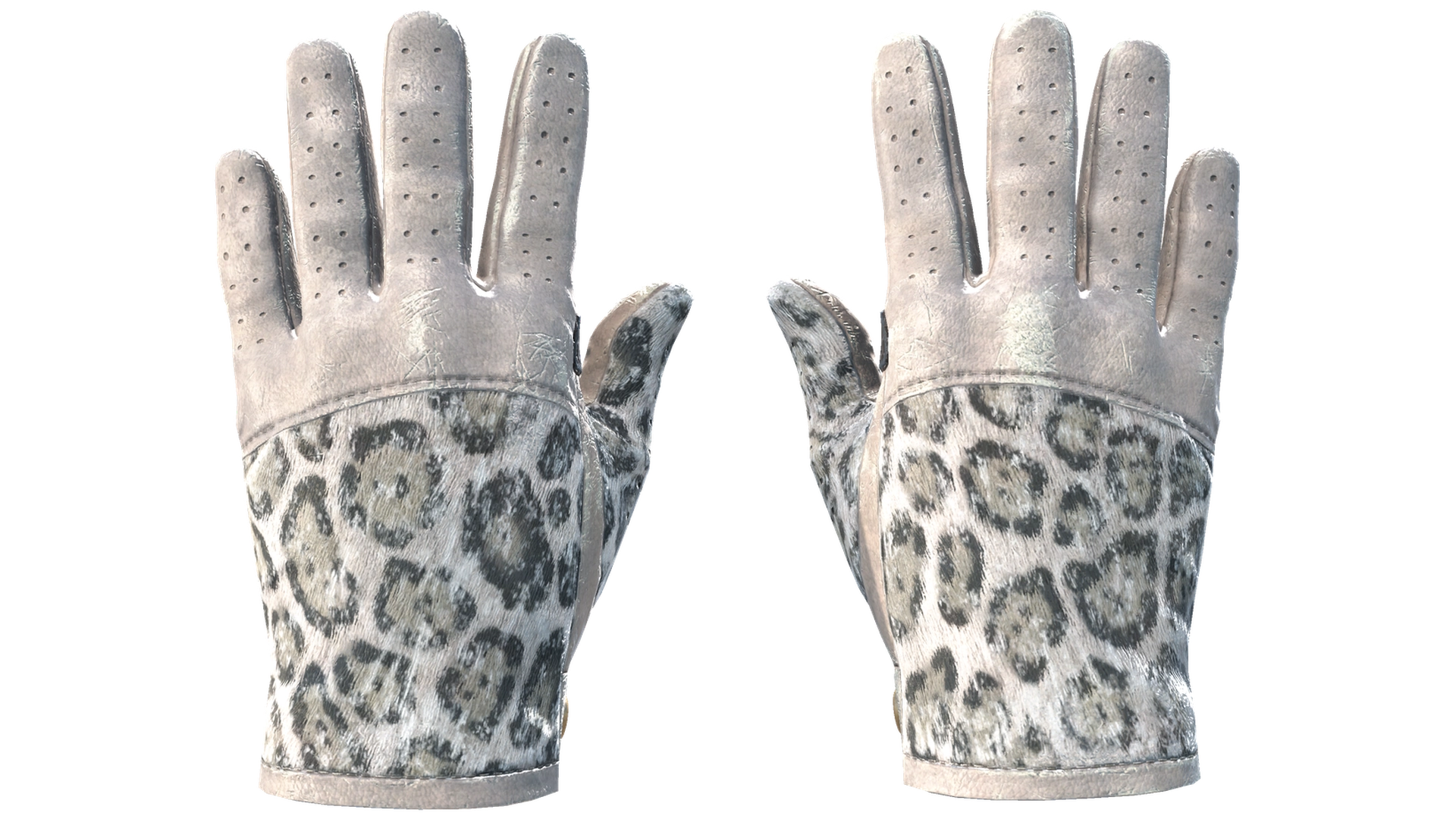 Snow Leopard image