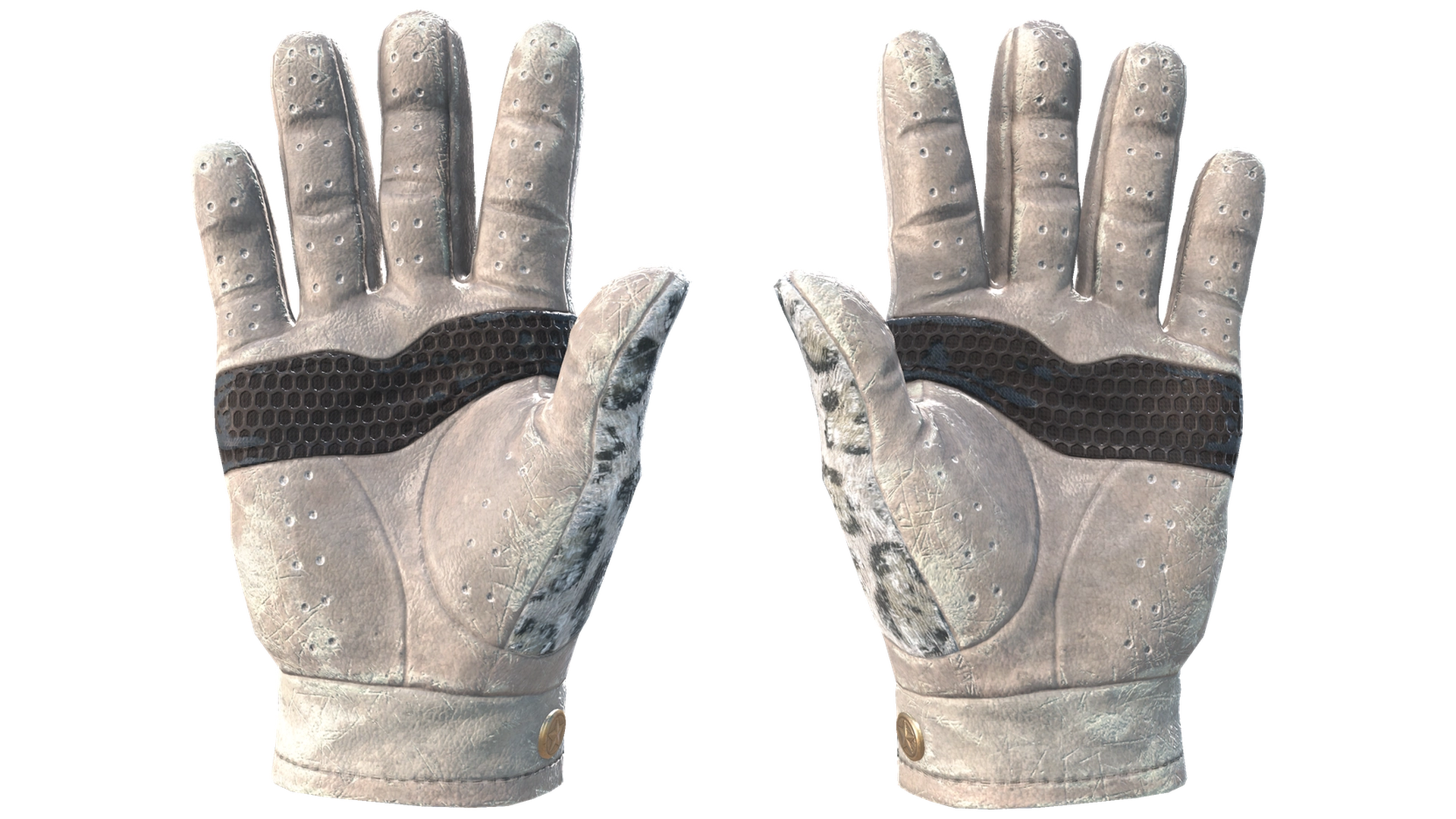 Snow Leopard image