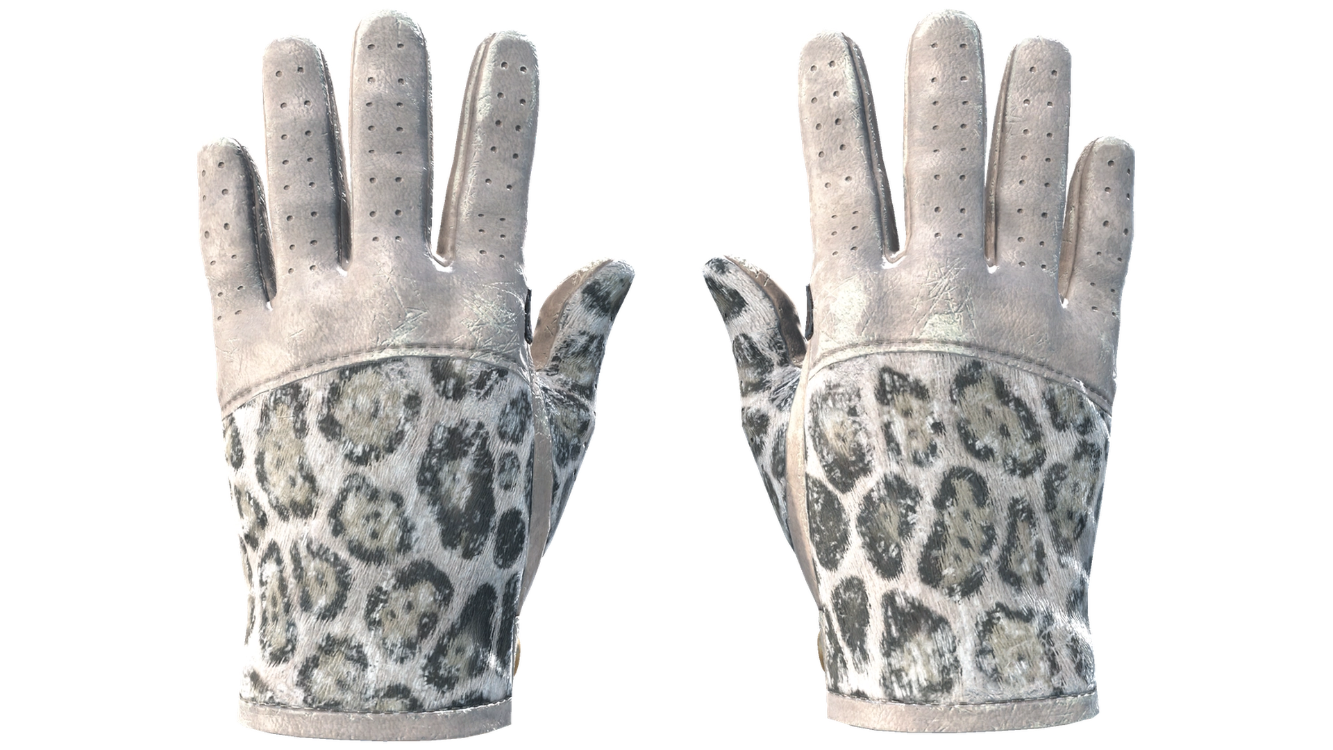 Snow Leopard image