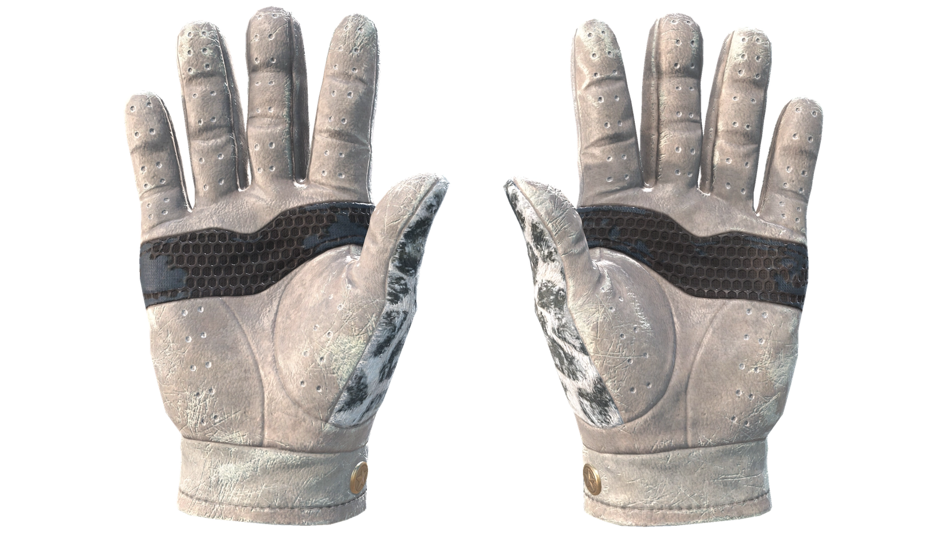 Snow Leopard image
