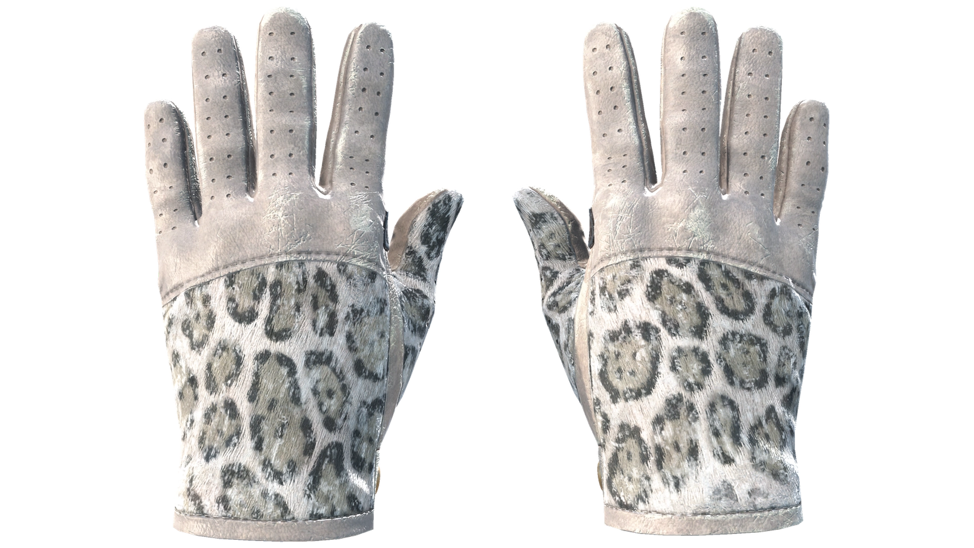 Snow Leopard image
