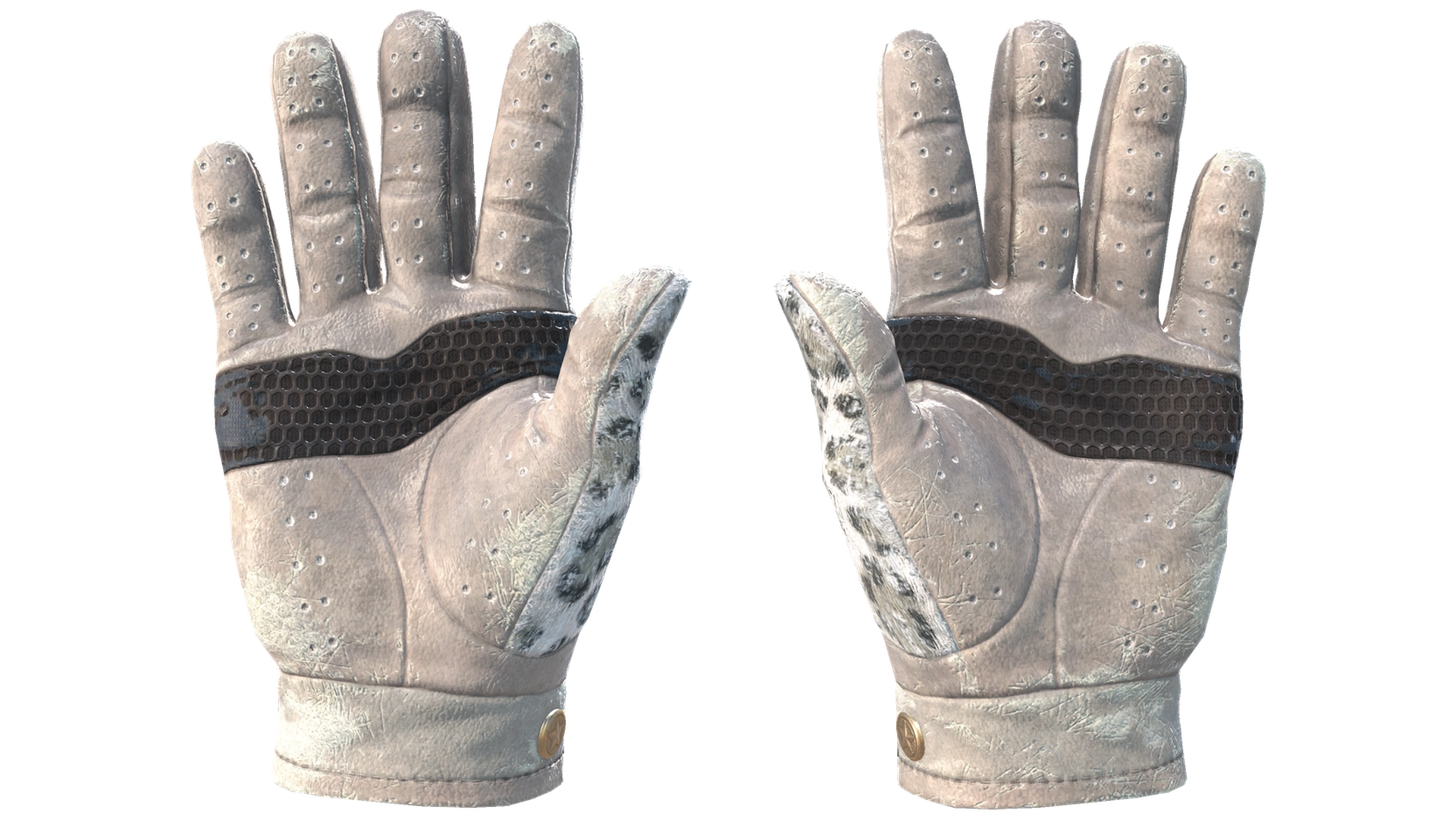 Snow Leopard image