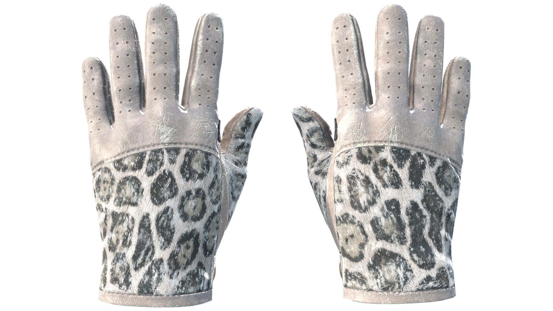 Snow Leopard image