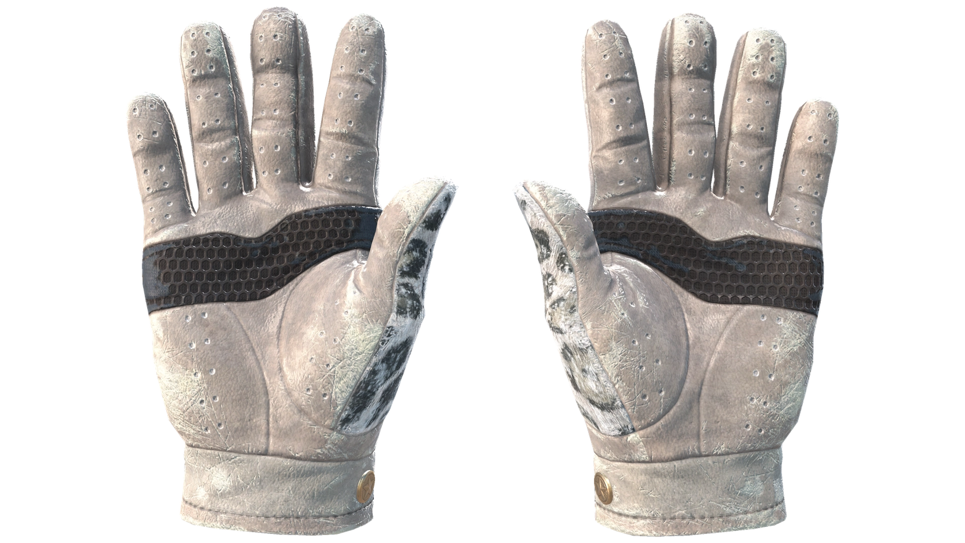 Snow Leopard image