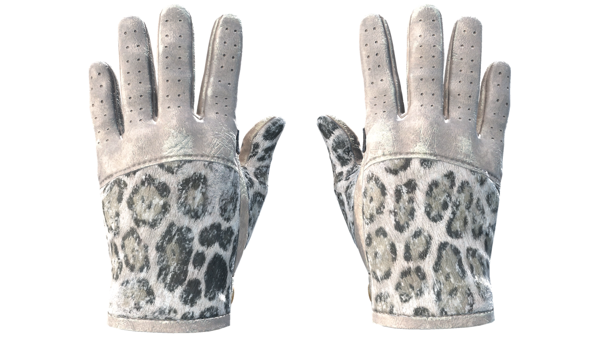 Snow Leopard image