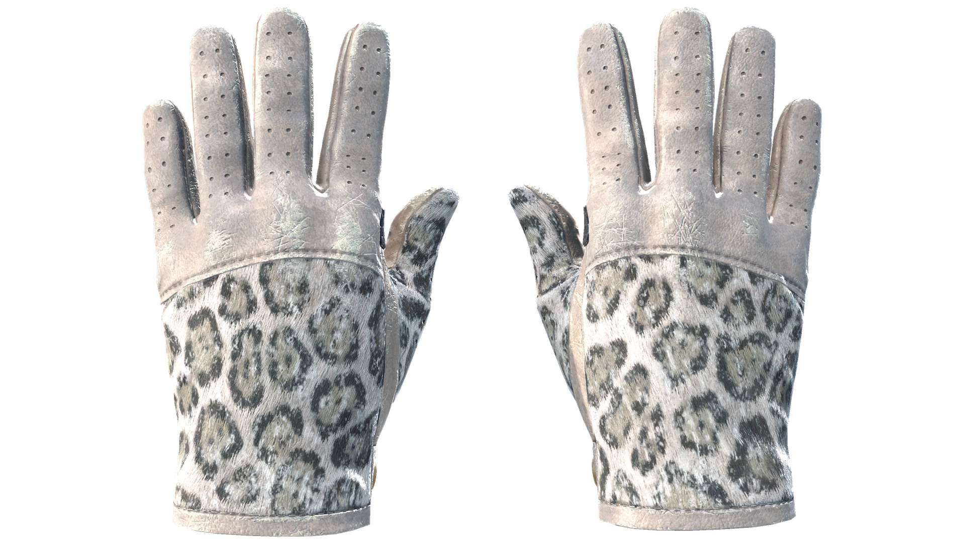 Snow Leopard image