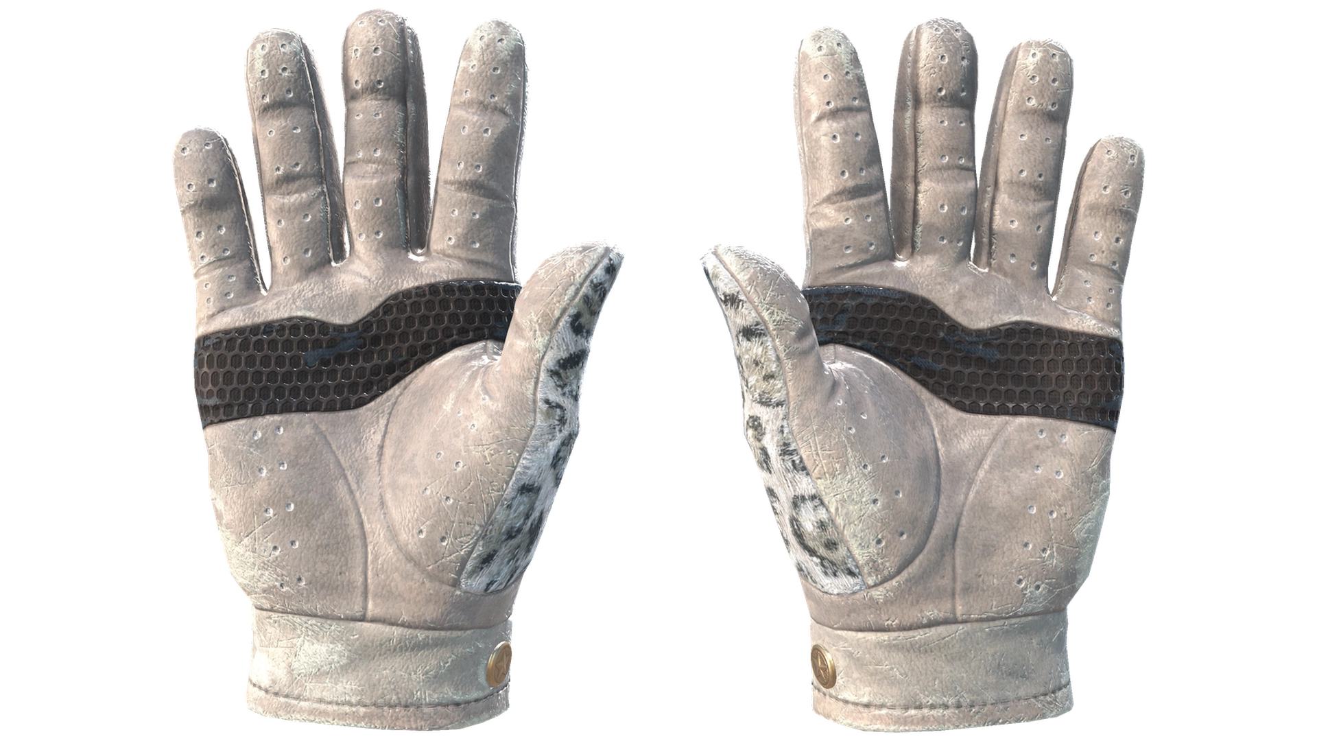 Snow Leopard image
