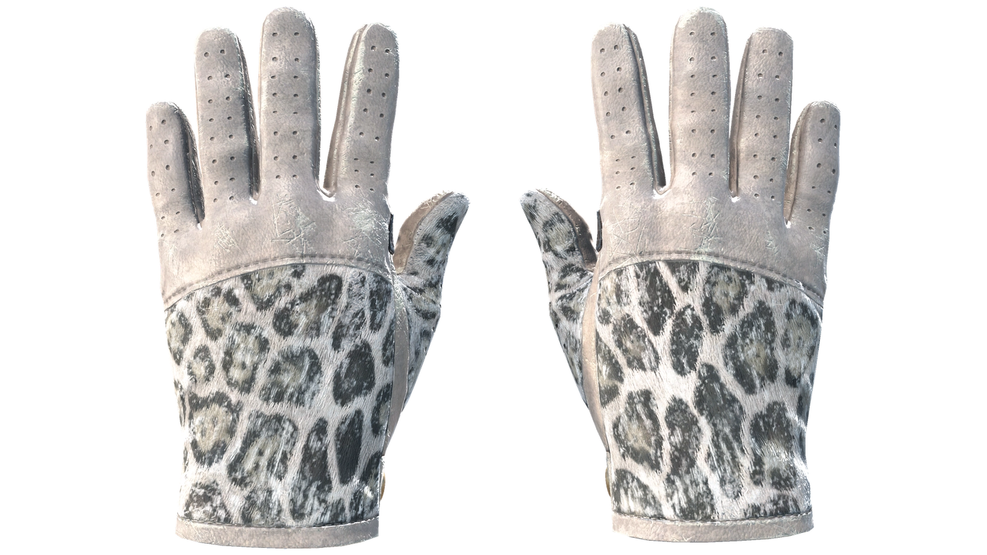 Snow Leopard image