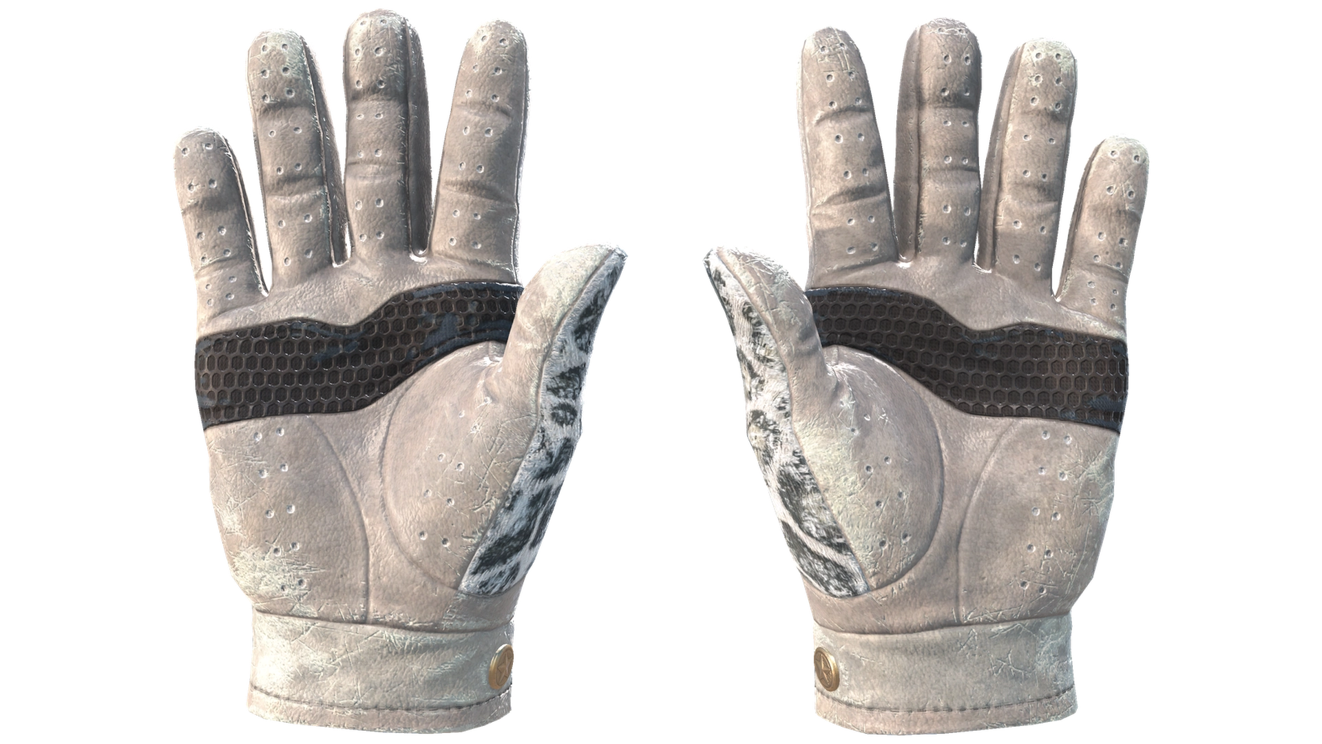Snow Leopard image