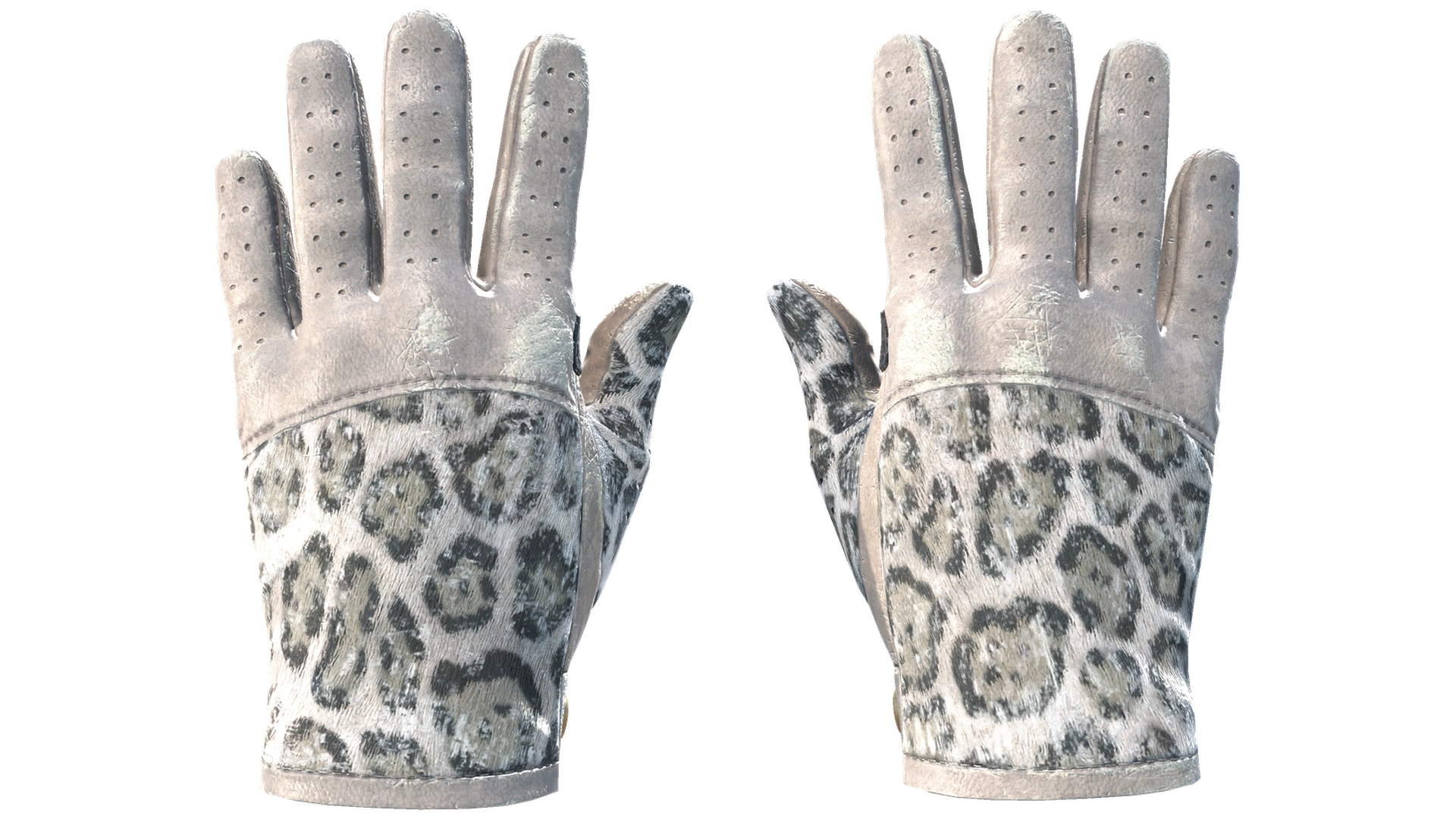 Snow Leopard image