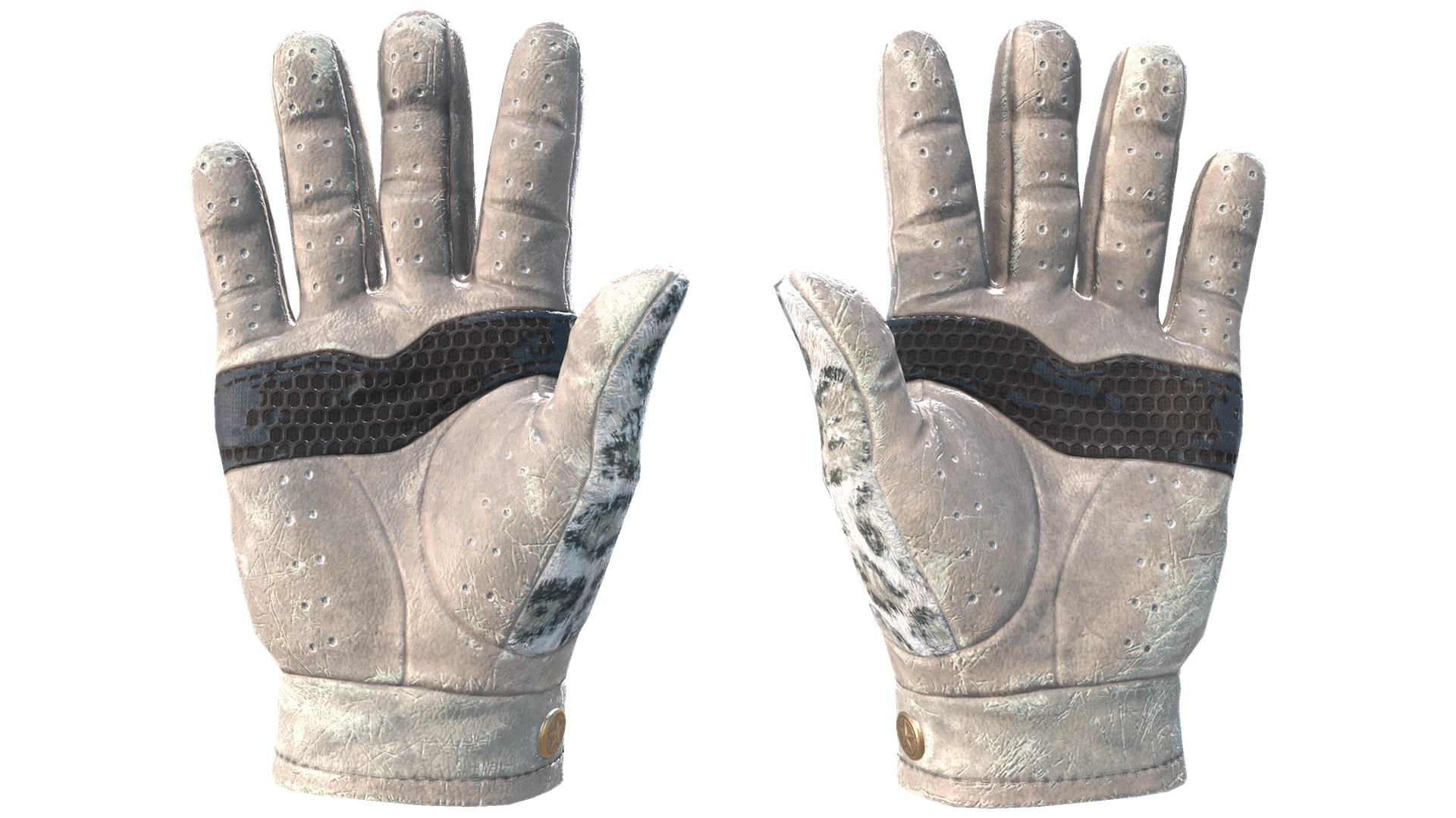 Snow Leopard image