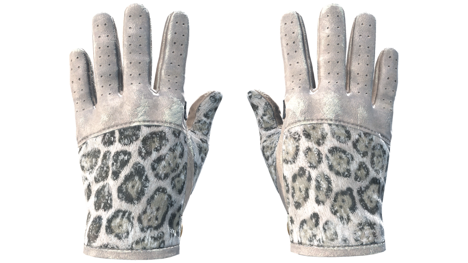 Snow Leopard image