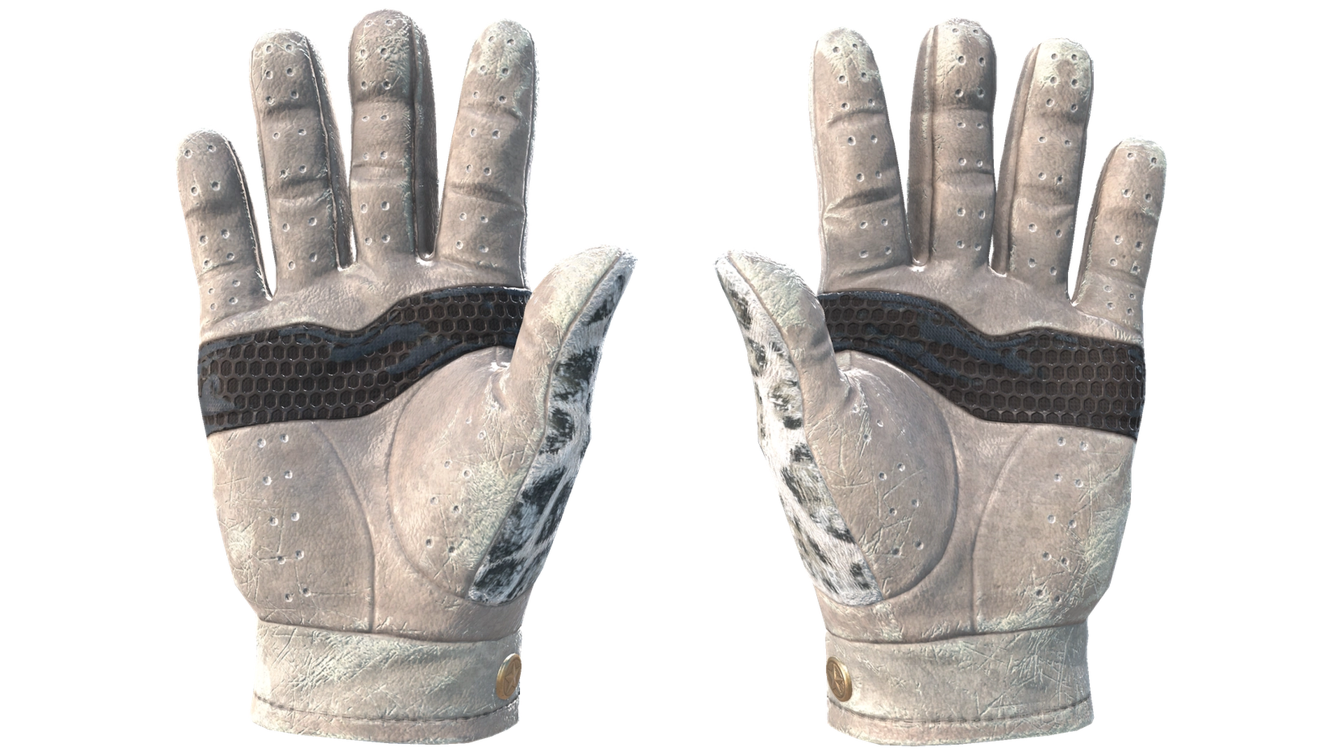 Snow Leopard image