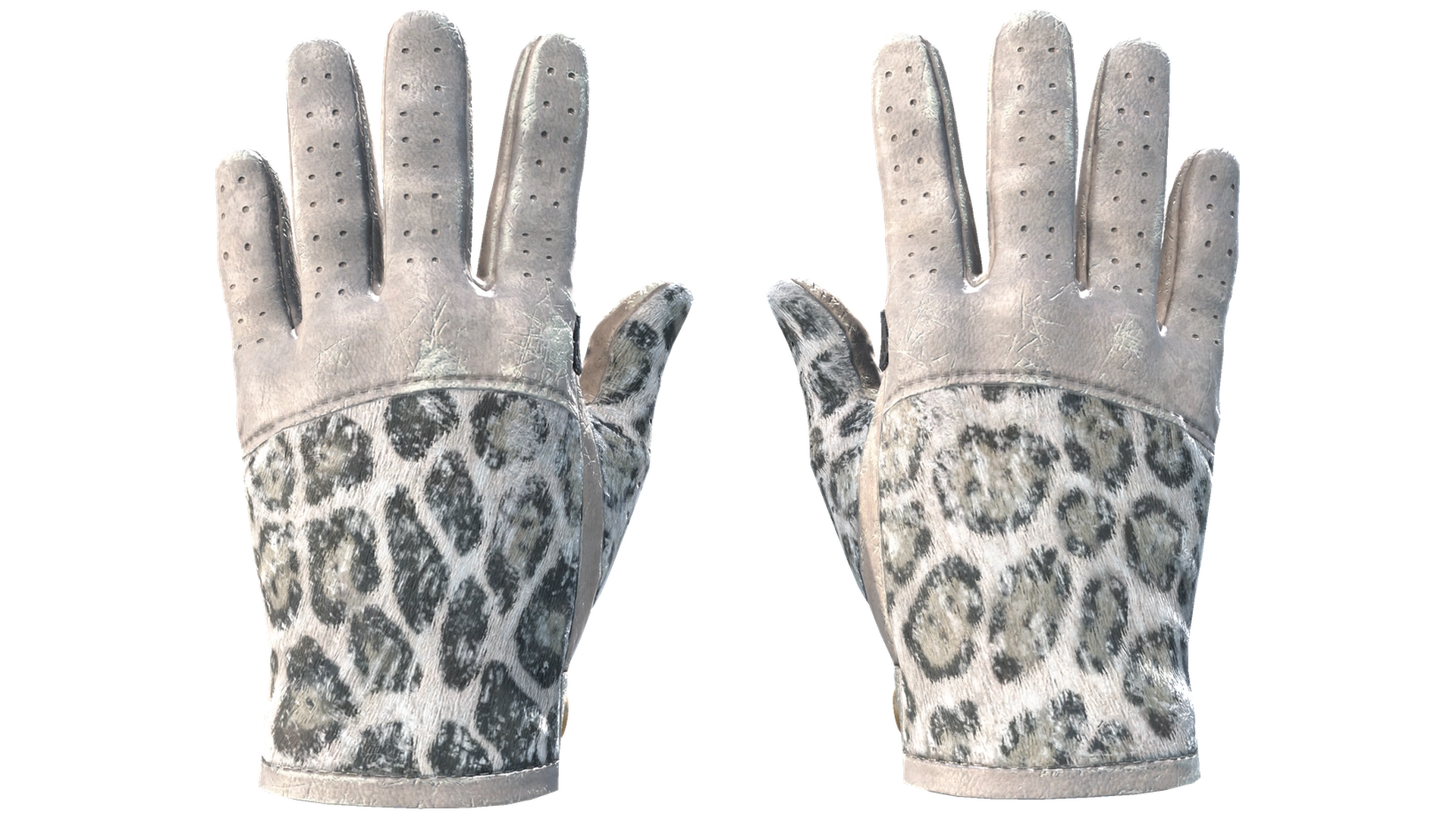 Snow Leopard image