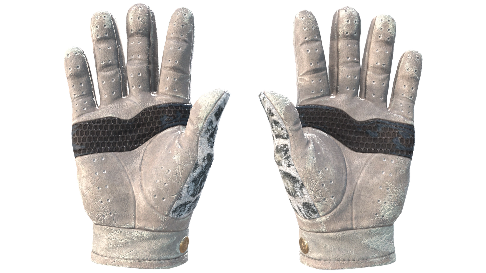Snow Leopard image