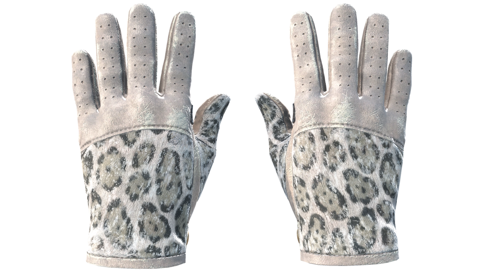 Snow Leopard image