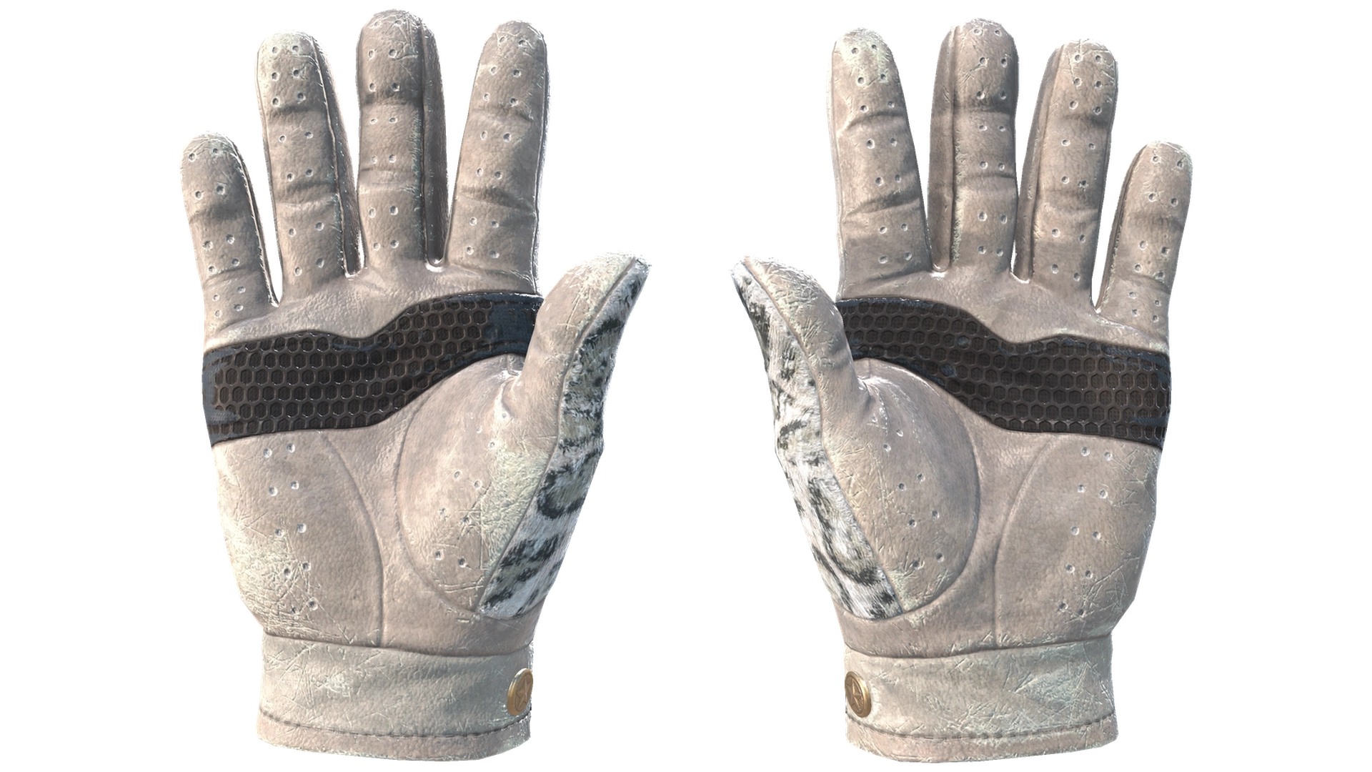 Snow Leopard image