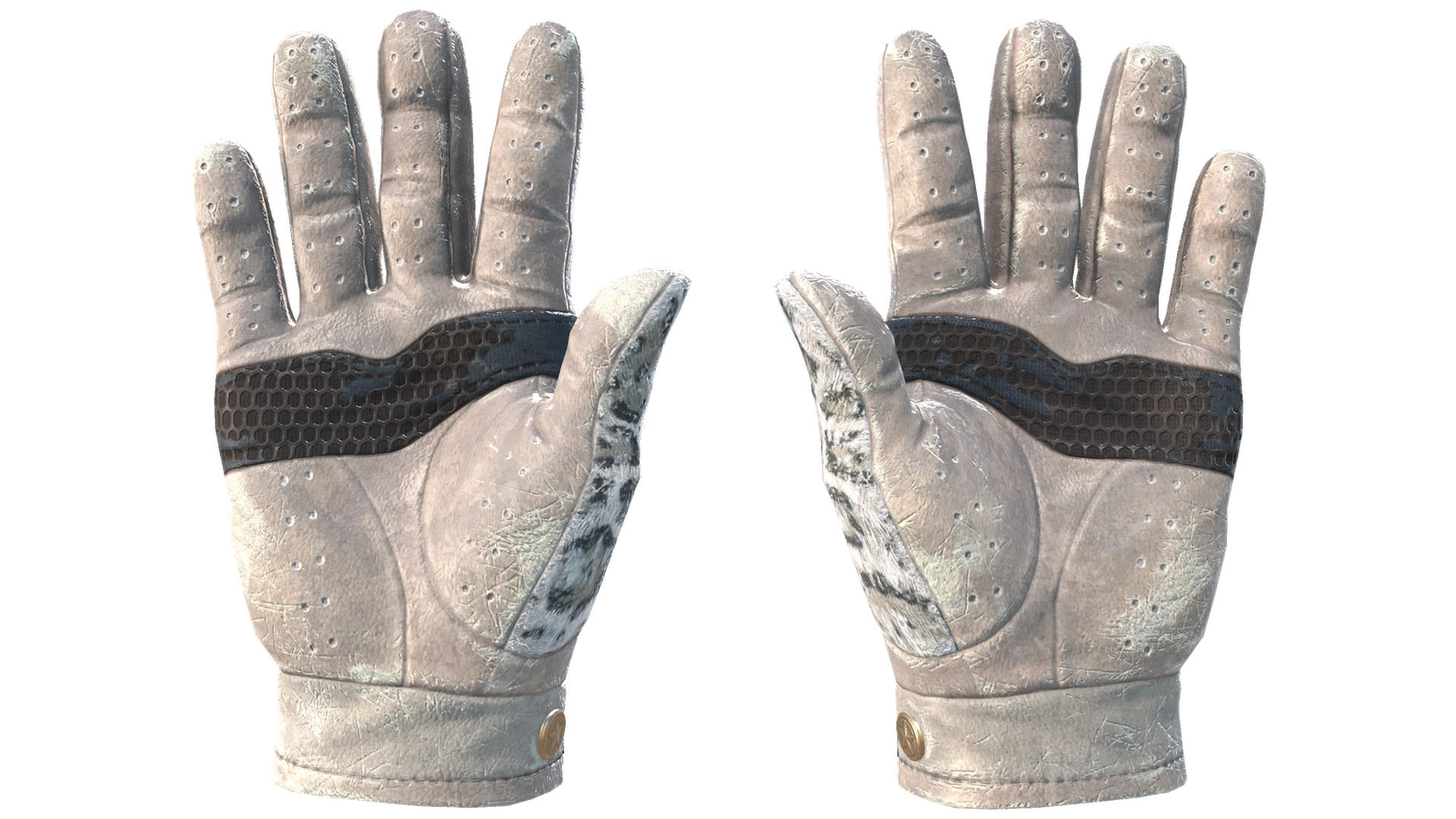 Snow Leopard image