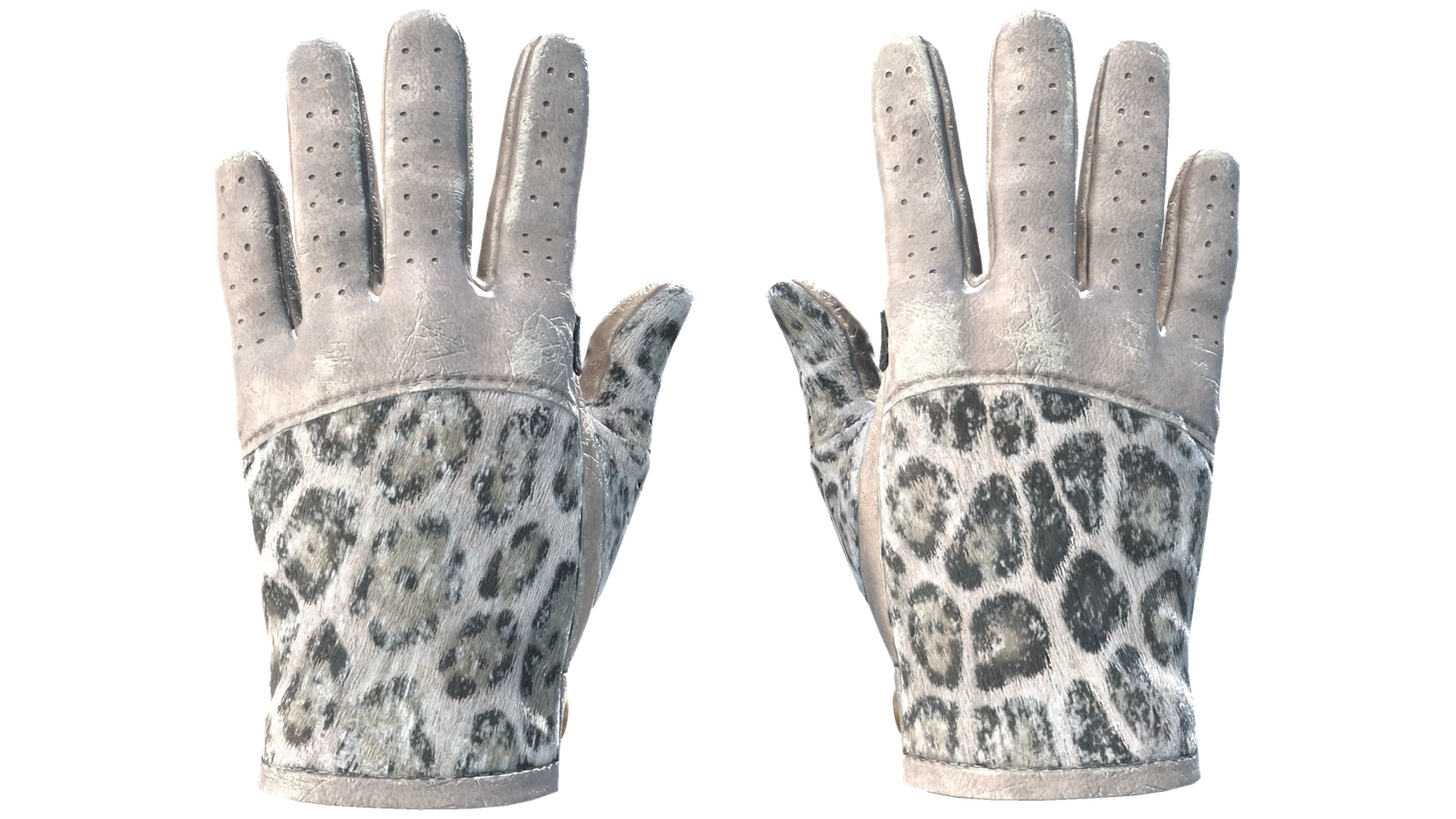 Snow Leopard image