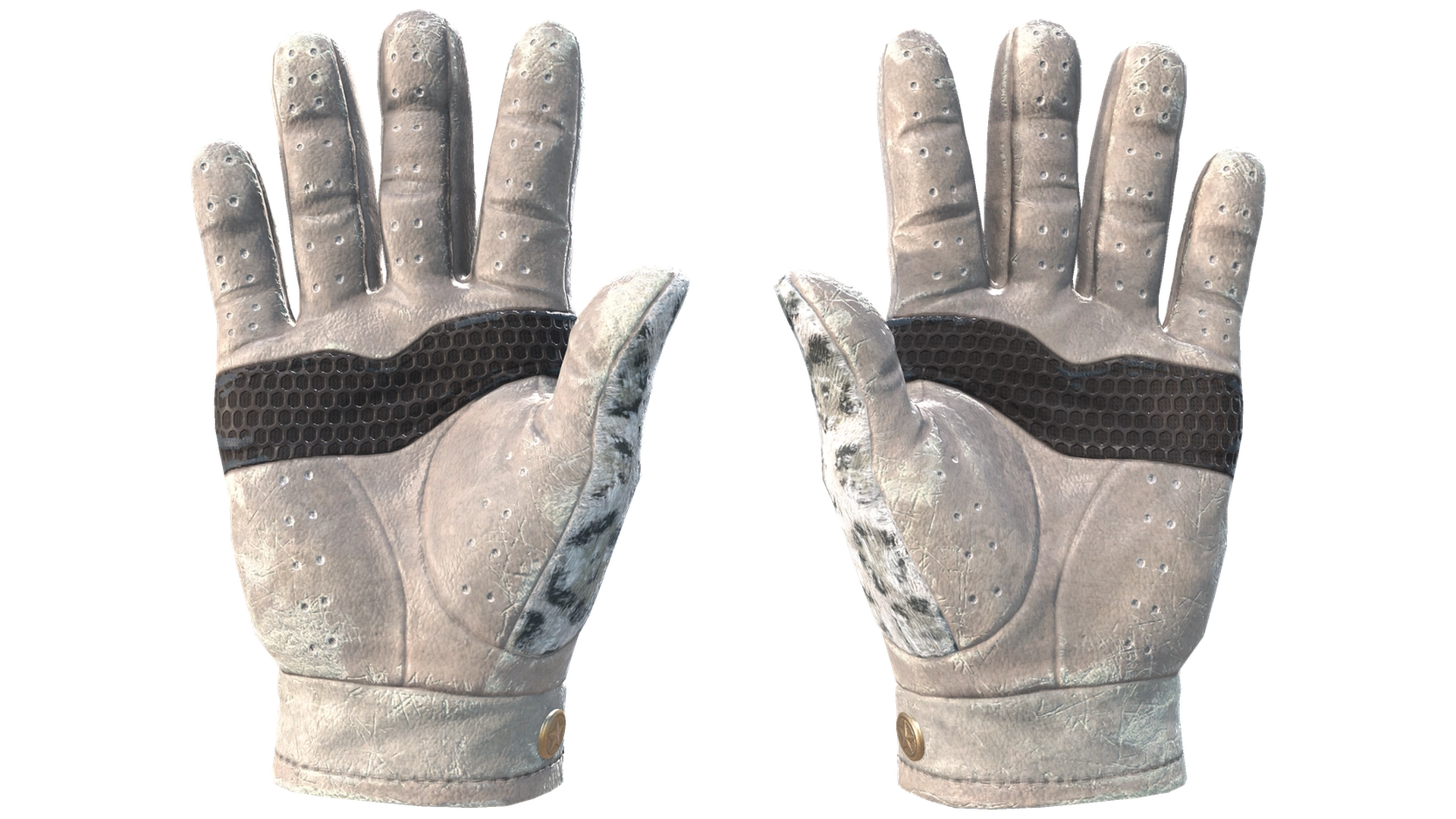Snow Leopard image