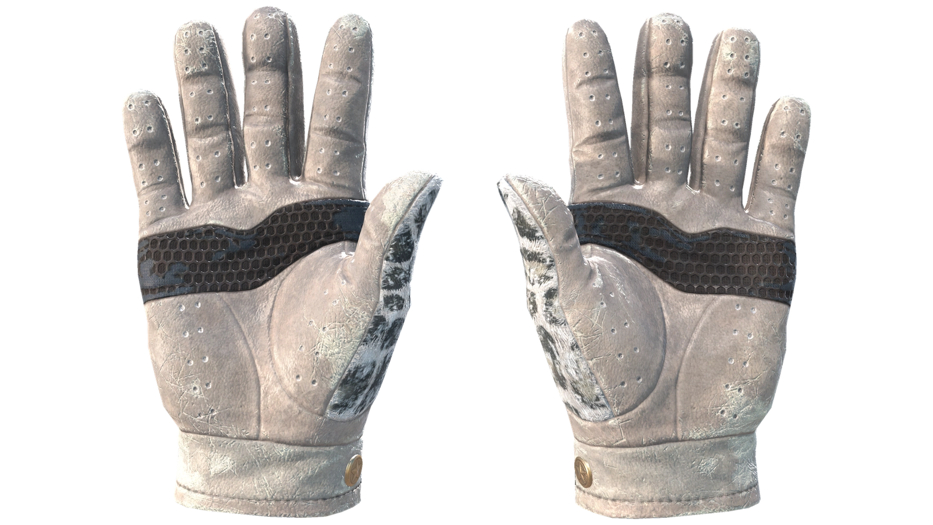 Snow Leopard image