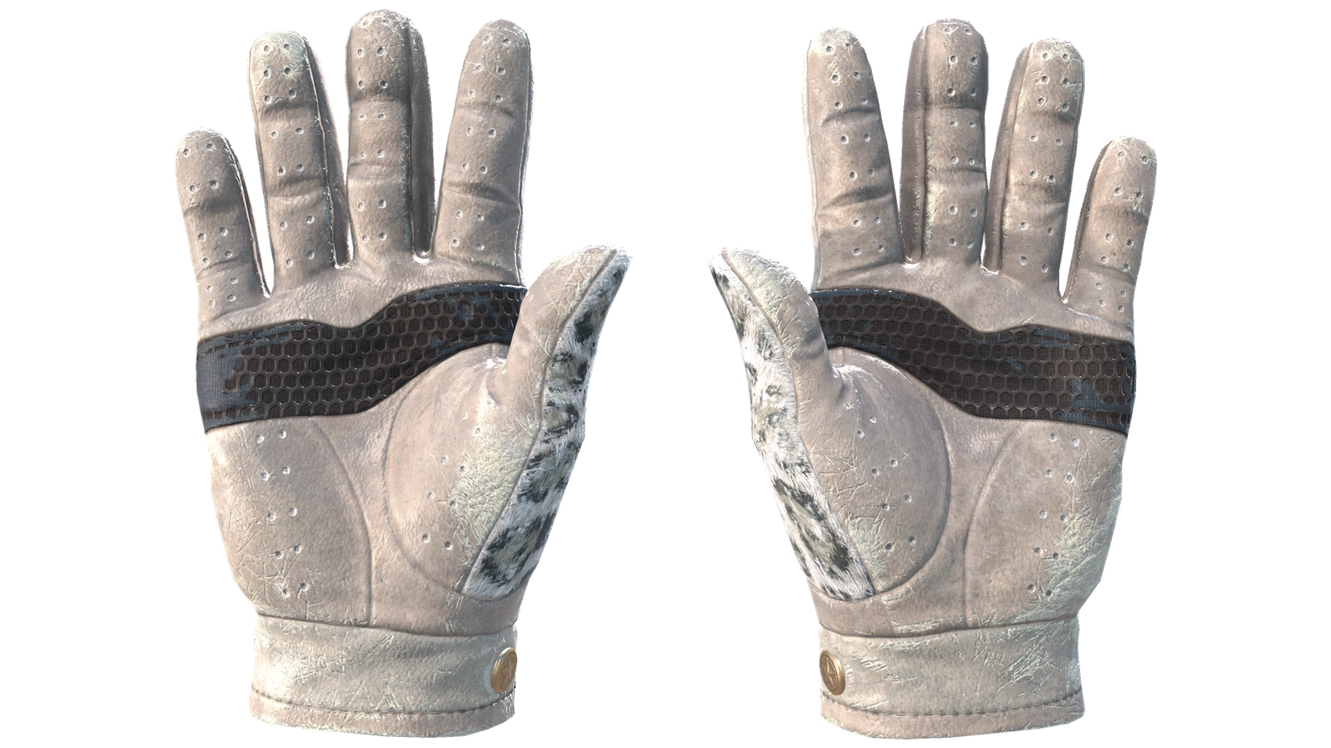Snow Leopard image